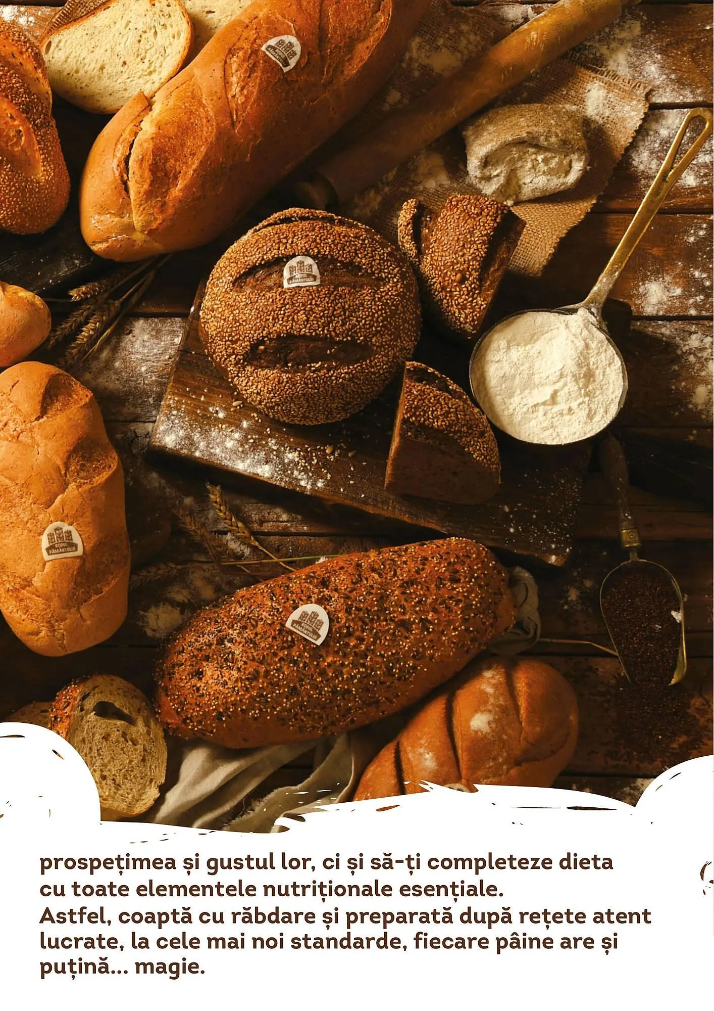 Catalog Cora catalog de la 12 iunie până la 31 decembrie 2023 - Revista Pagina 3