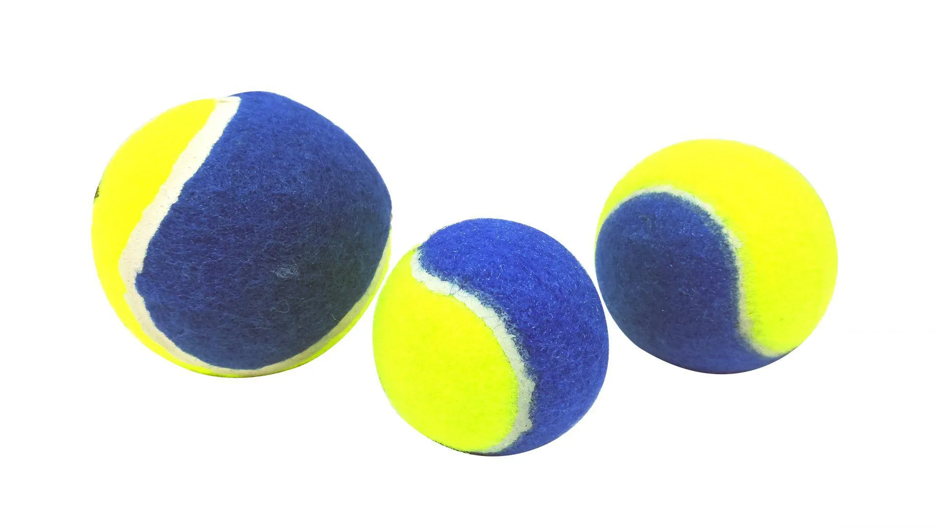 Paiatze Dog Minge Bicolor