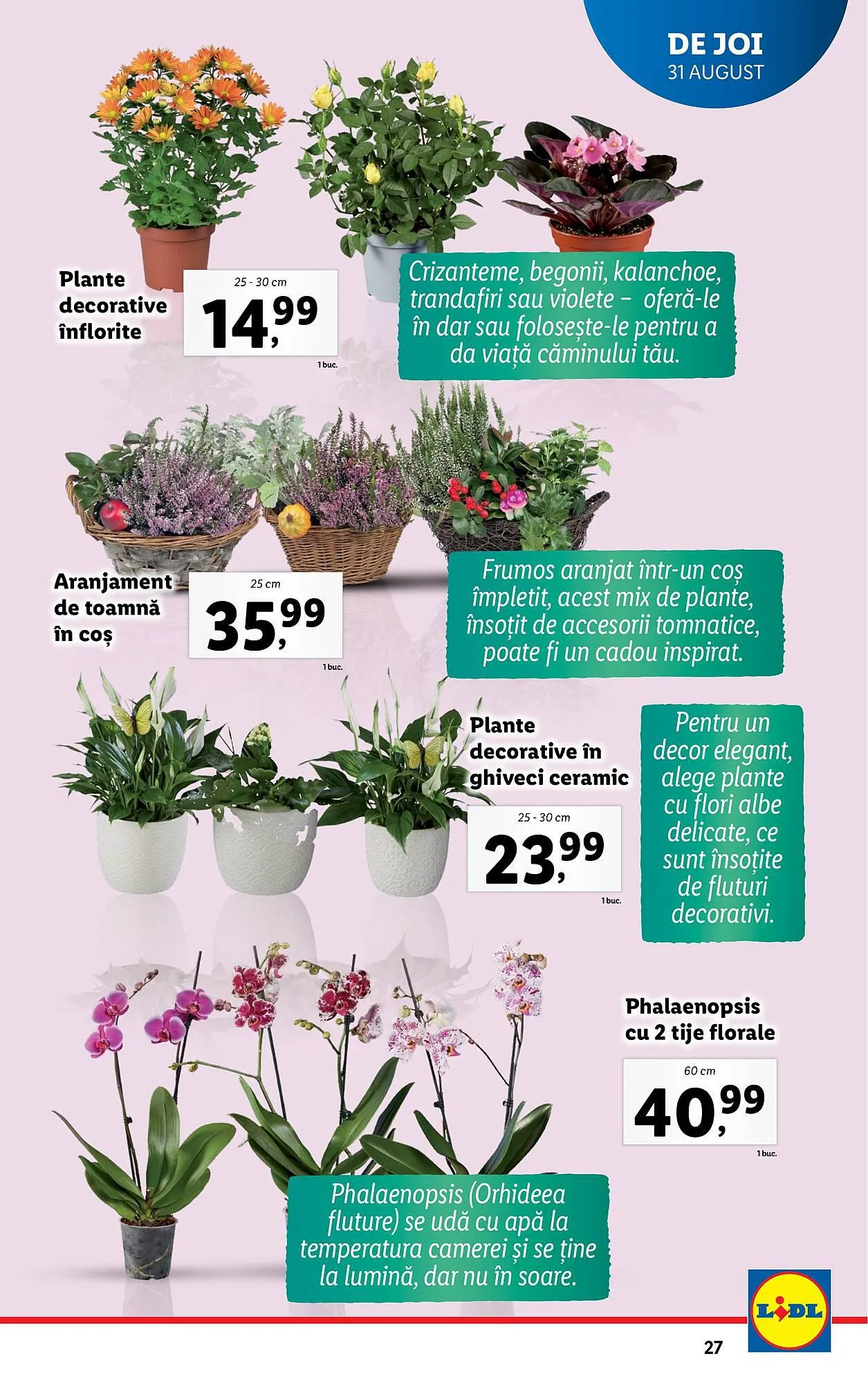 Catalog Lidl catalog de la 28 august până la 3 septembrie 2023 - Revista Pagina 27