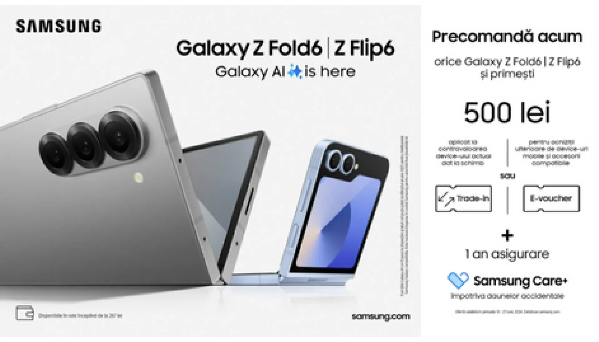 Internity catalog - 1