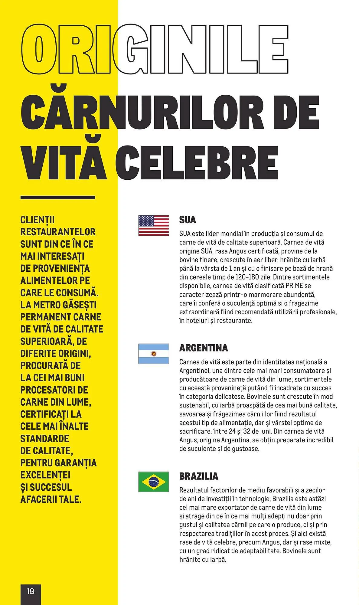 Catalog Metro catalog de la 20 iulie până la 31 decembrie 2023 - Revista Pagina 18