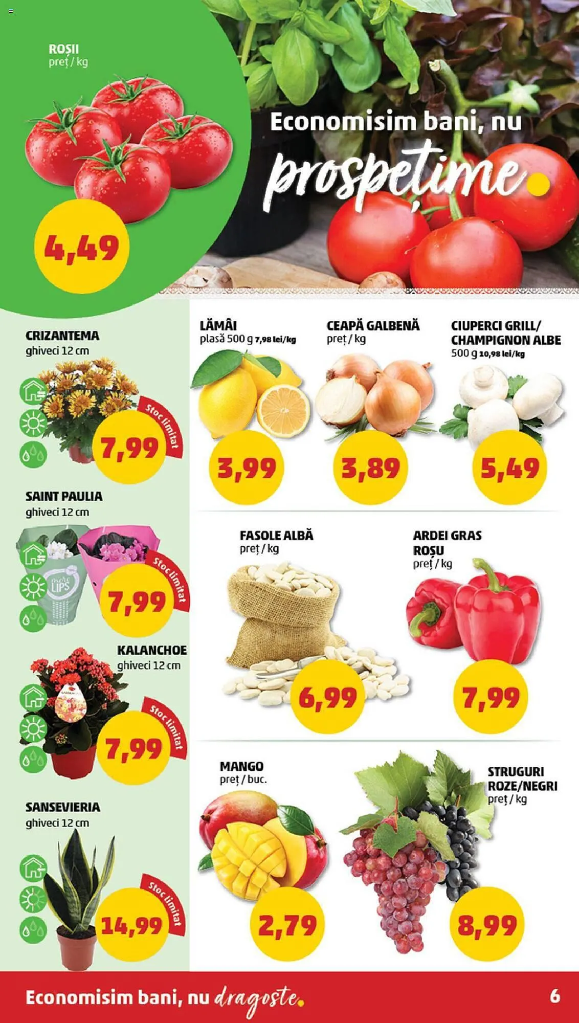 Catalog Penny catalog de la 12 iulie până la 18 iulie 2023 - Revista Pagina 6