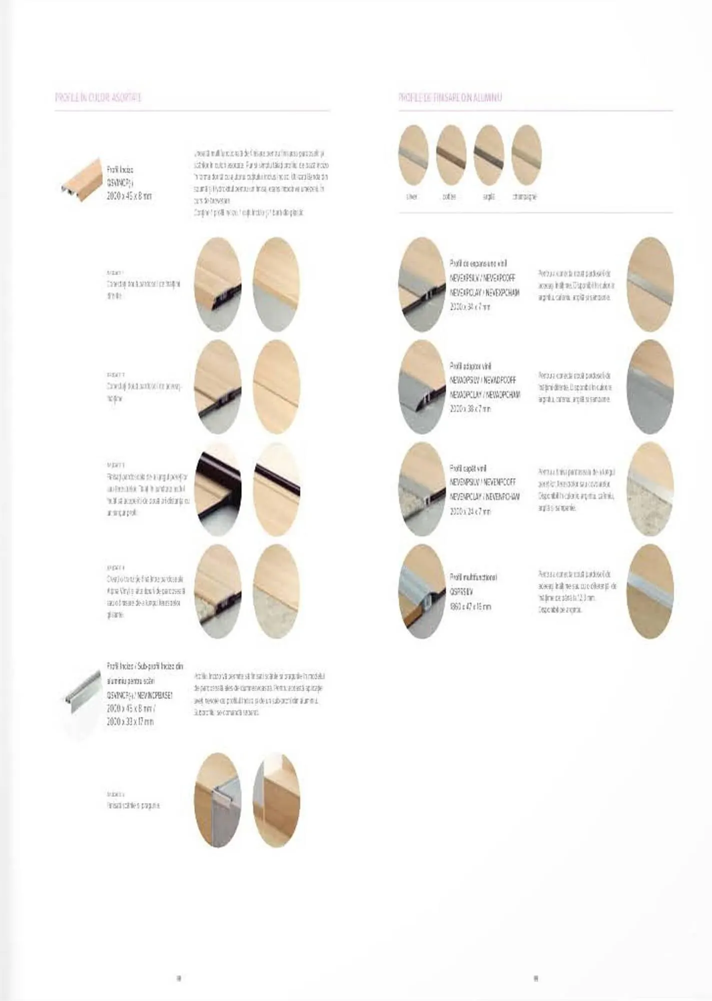 Catalog Proges catalog de la 27 octombrie până la 31 decembrie 2023 - Revista Pagina 51