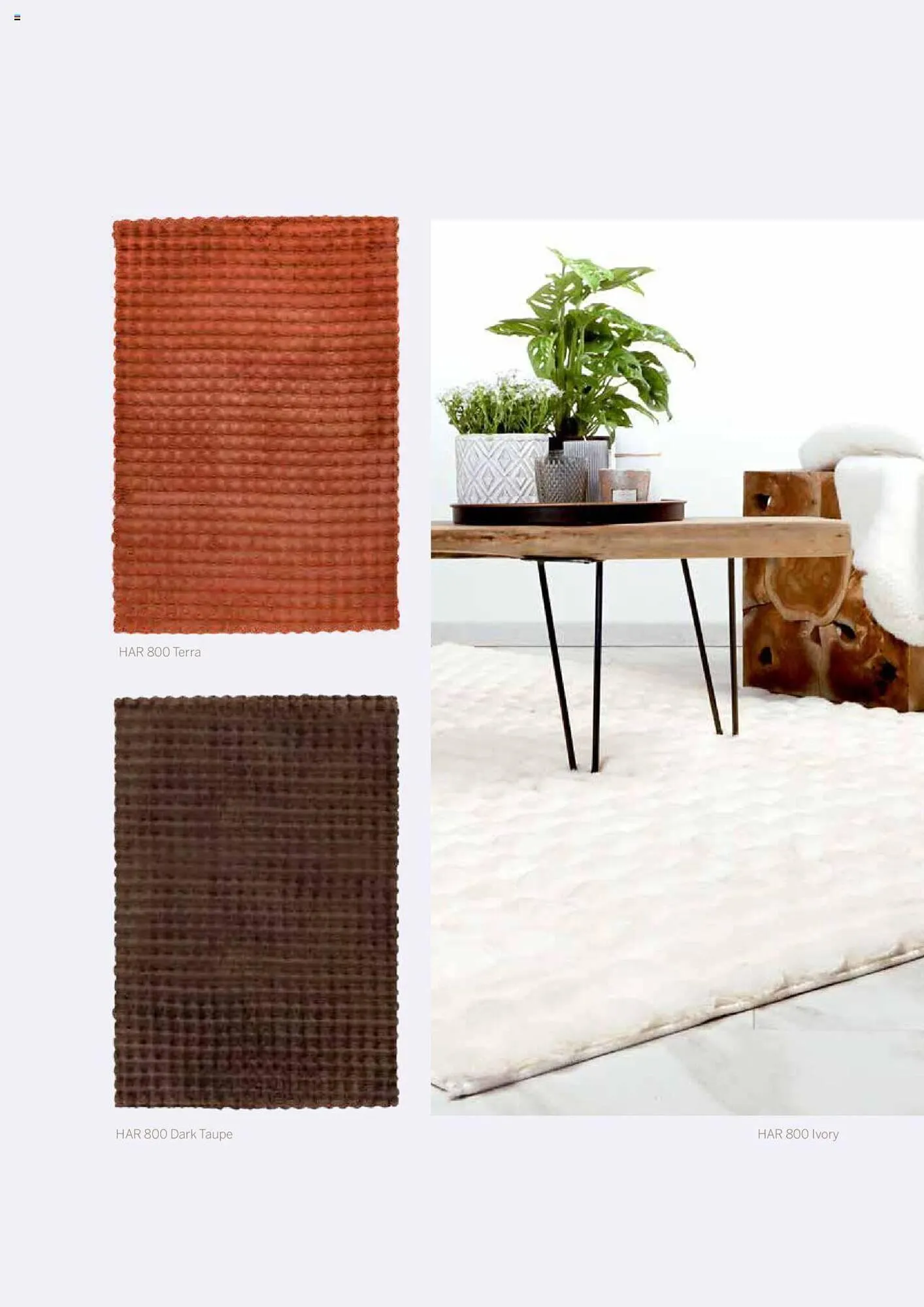 Catalog Proges catalog de la 31 ianuarie până la 31 decembrie 2024 - Revista Pagina 20