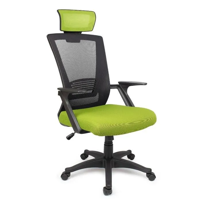 Scaun birou ergonomic Pixy XL, mesh, verde + negru