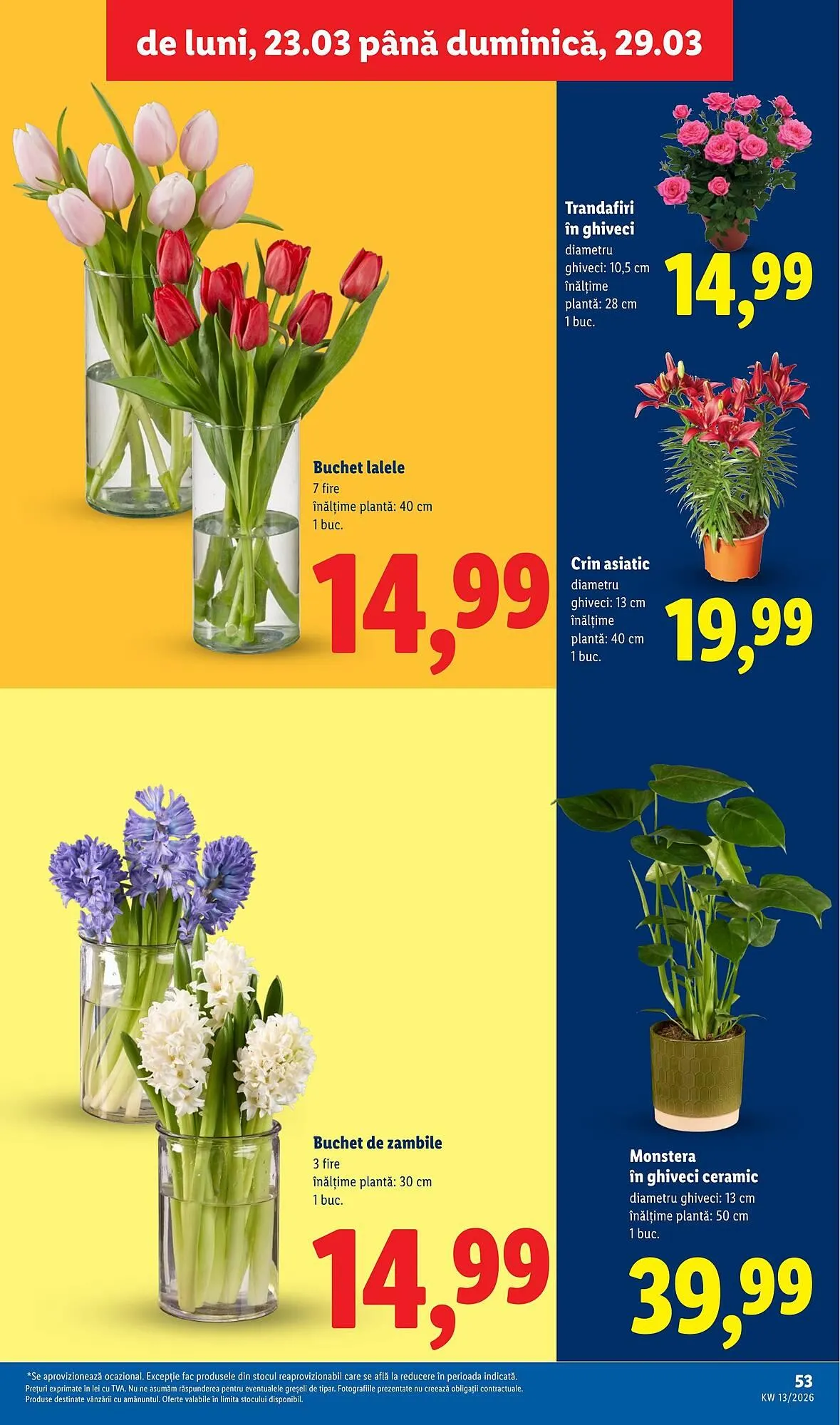 Catalog Catalog Lidl de la 23 martie până la 29 martie 2026 - Revista Pagina 53
