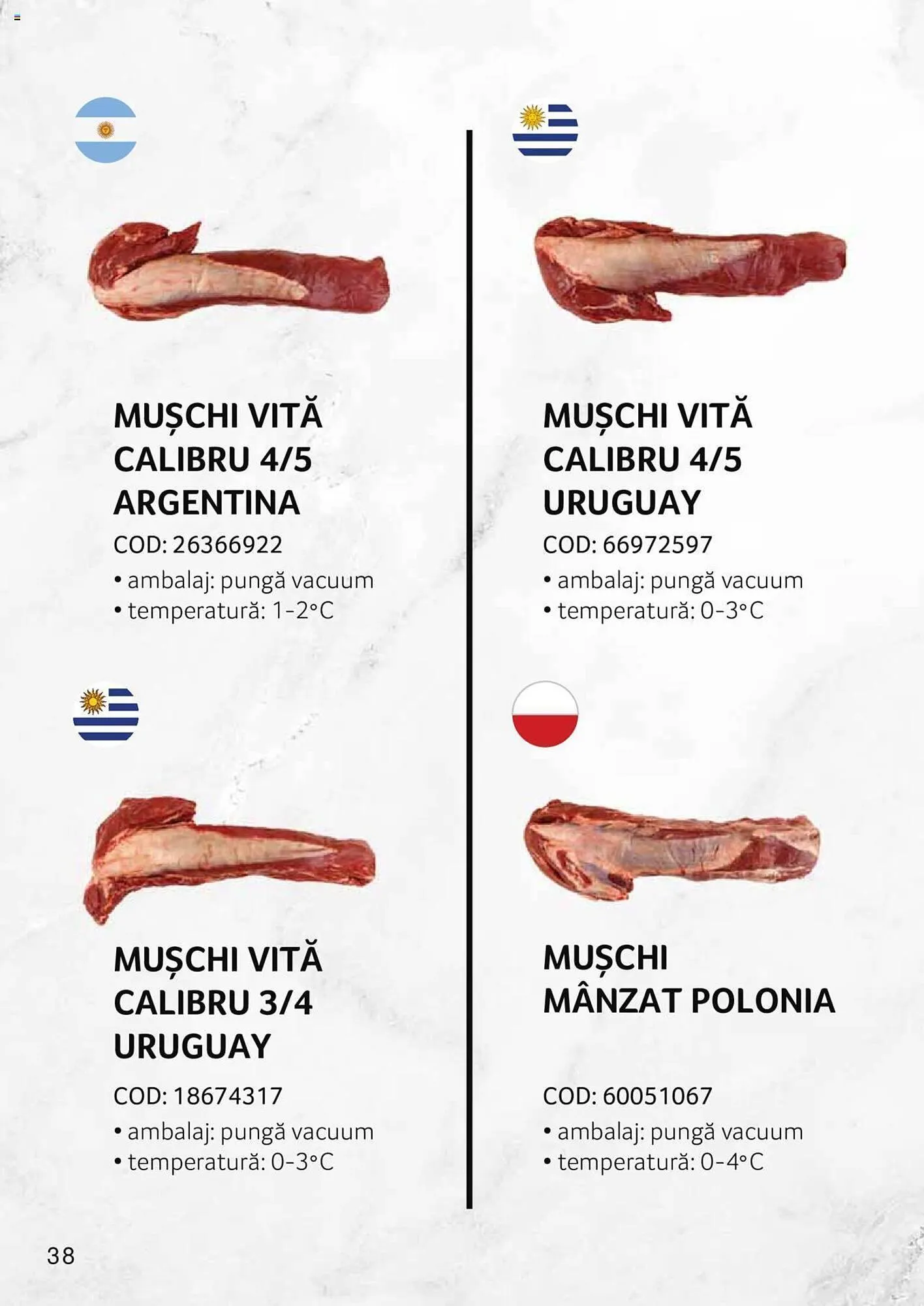 Catalog Selgros catalog de la 27 aprilie până la 31 decembrie 2023 - Revista Pagina 38