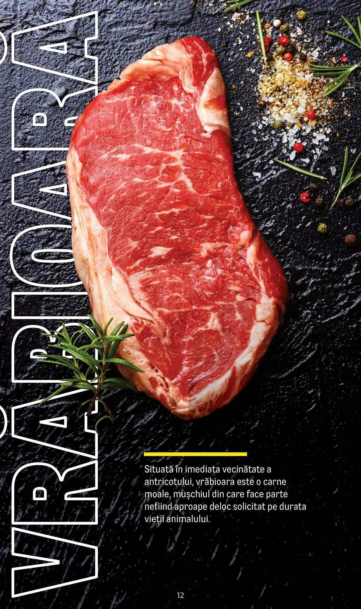 Catalog Catalog Metro de la 9 aprilie până la 31 decembrie 2025 - Revista Pagina 12