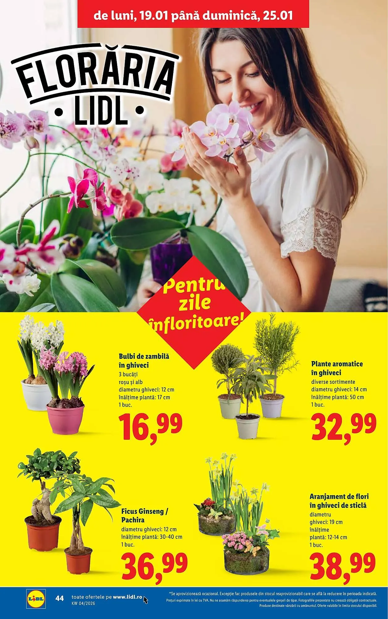 Catalog Catalog Lidl de la 19 ianuarie până la 25 ianuarie 2026 - Revista Pagina 44