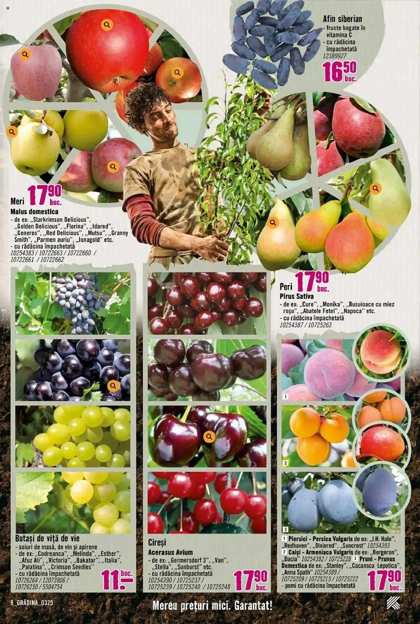 Catalog Catalog Hornbach de la 17 martie până la 25 aprilie 2025 - Revista Pagina 9