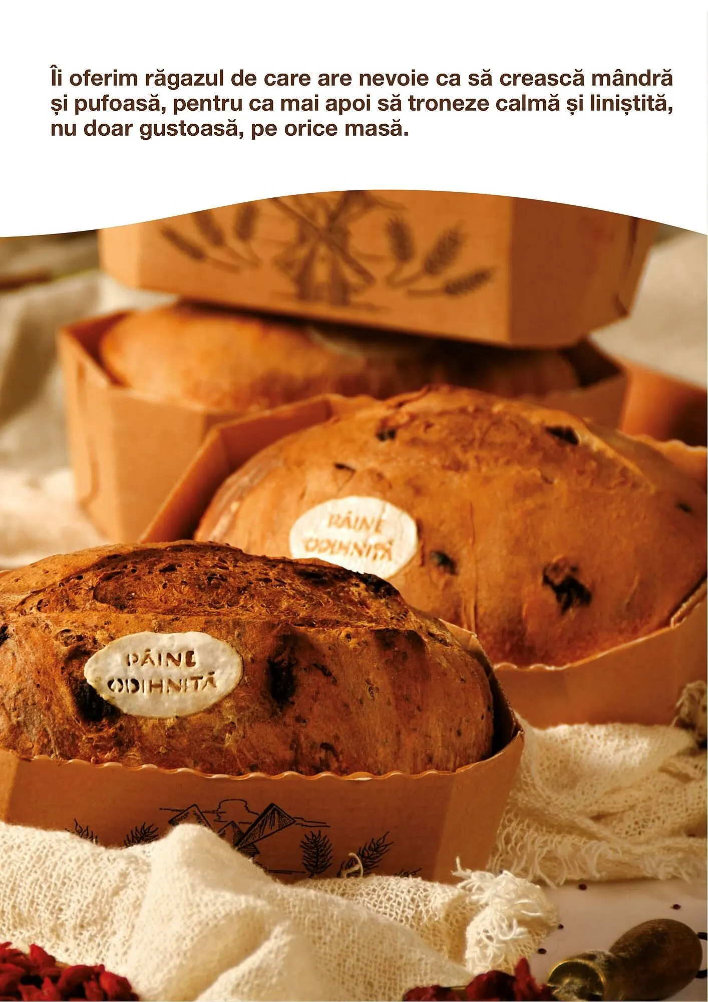 Catalog Cora catalog de la 12 iunie până la 31 decembrie 2023 - Revista Pagina 29