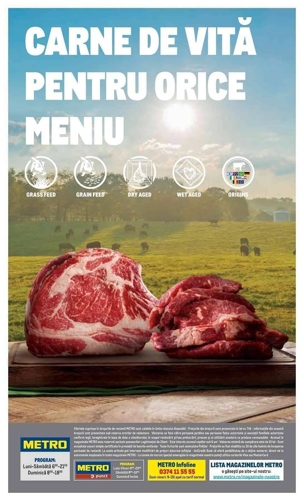 Catalog Metro catalog de la 20 iulie până la 31 decembrie 2023 - Revista Pagina 16