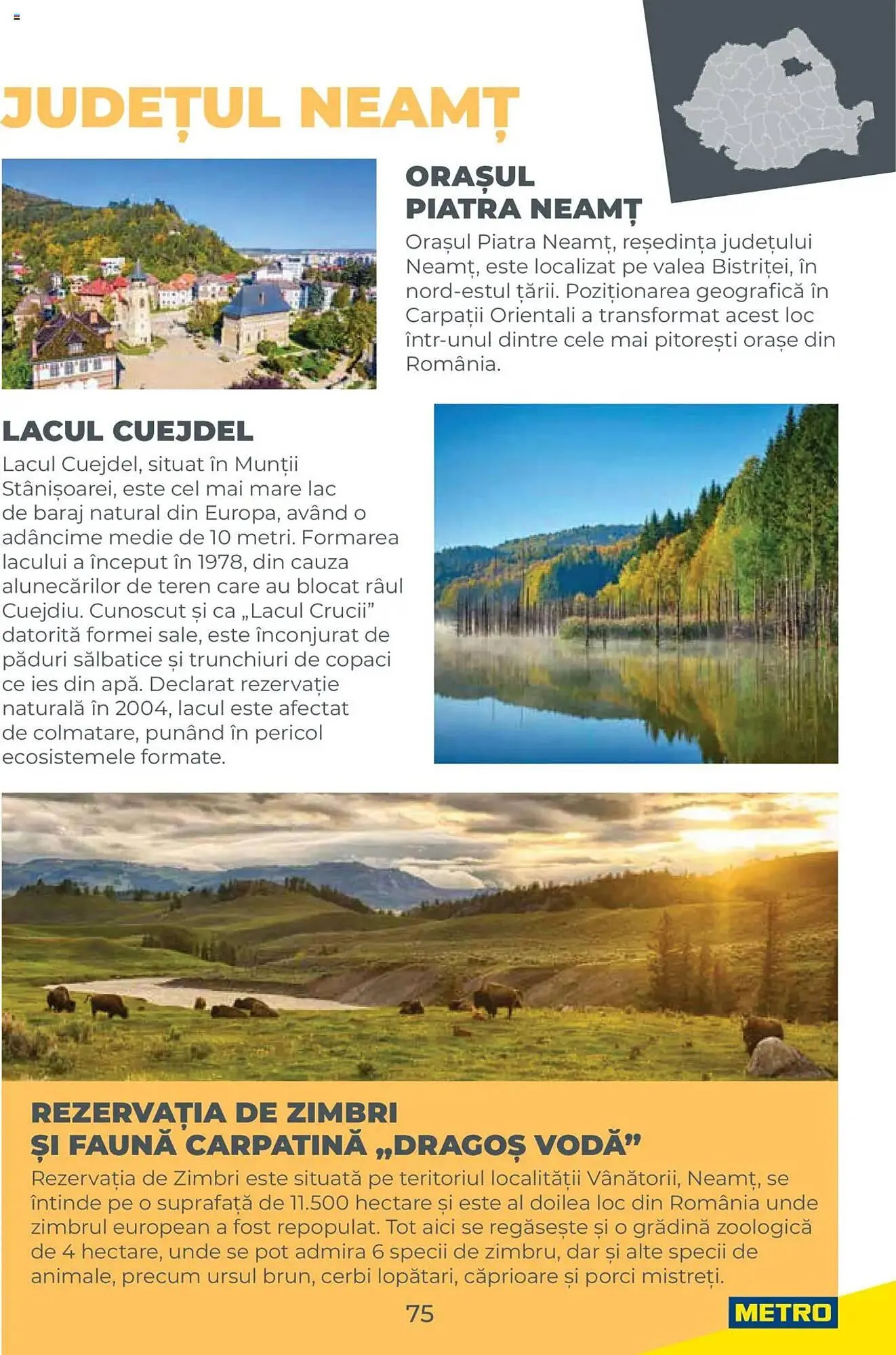 Catalog Catalog Metro de la 31 iulie până la 31 decembrie 2026 - Revista Pagina 75