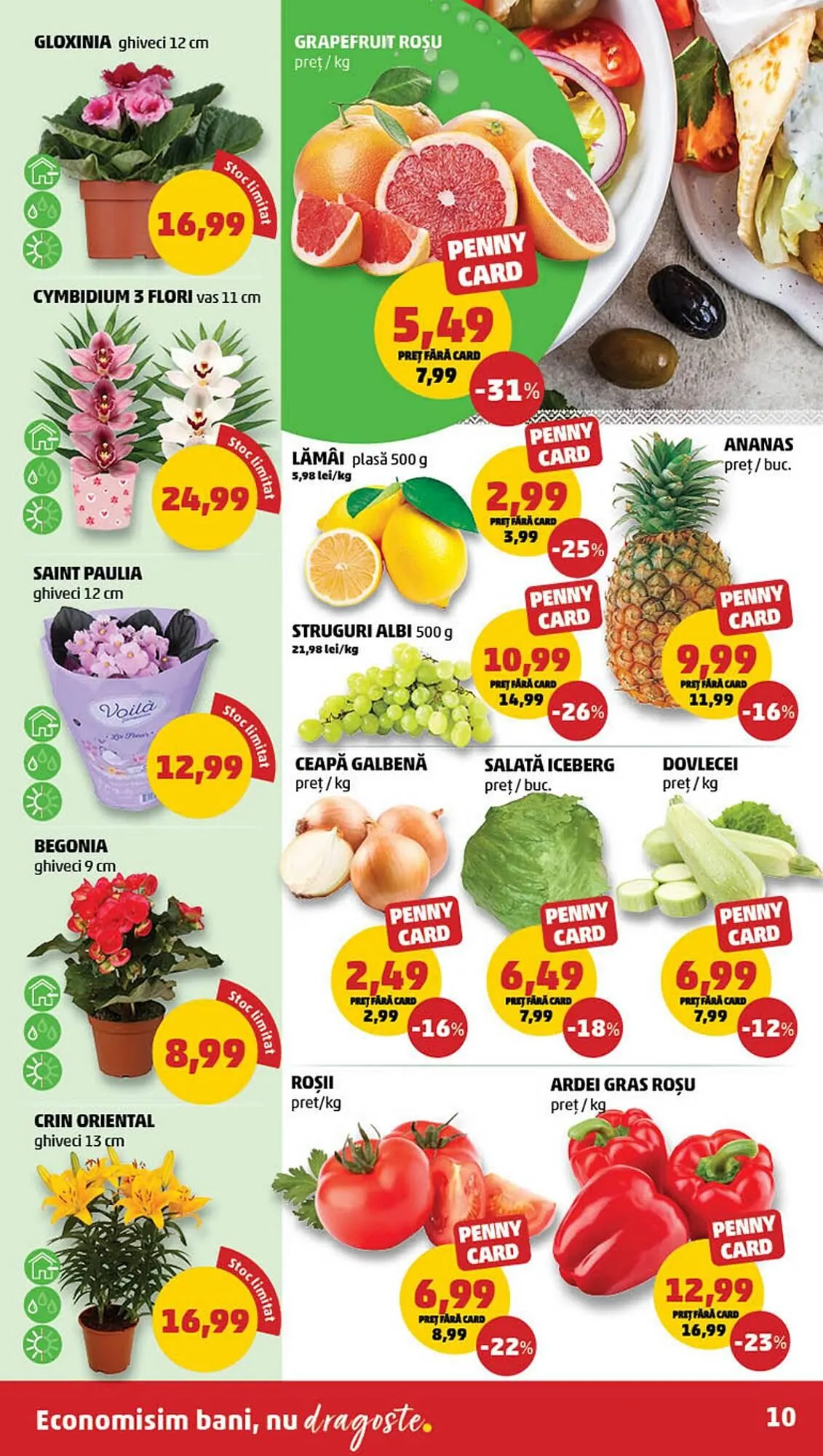 Catalog Catalog Penny de la 12 februarie până la 18 martie 2025 - Revista Pagina 10