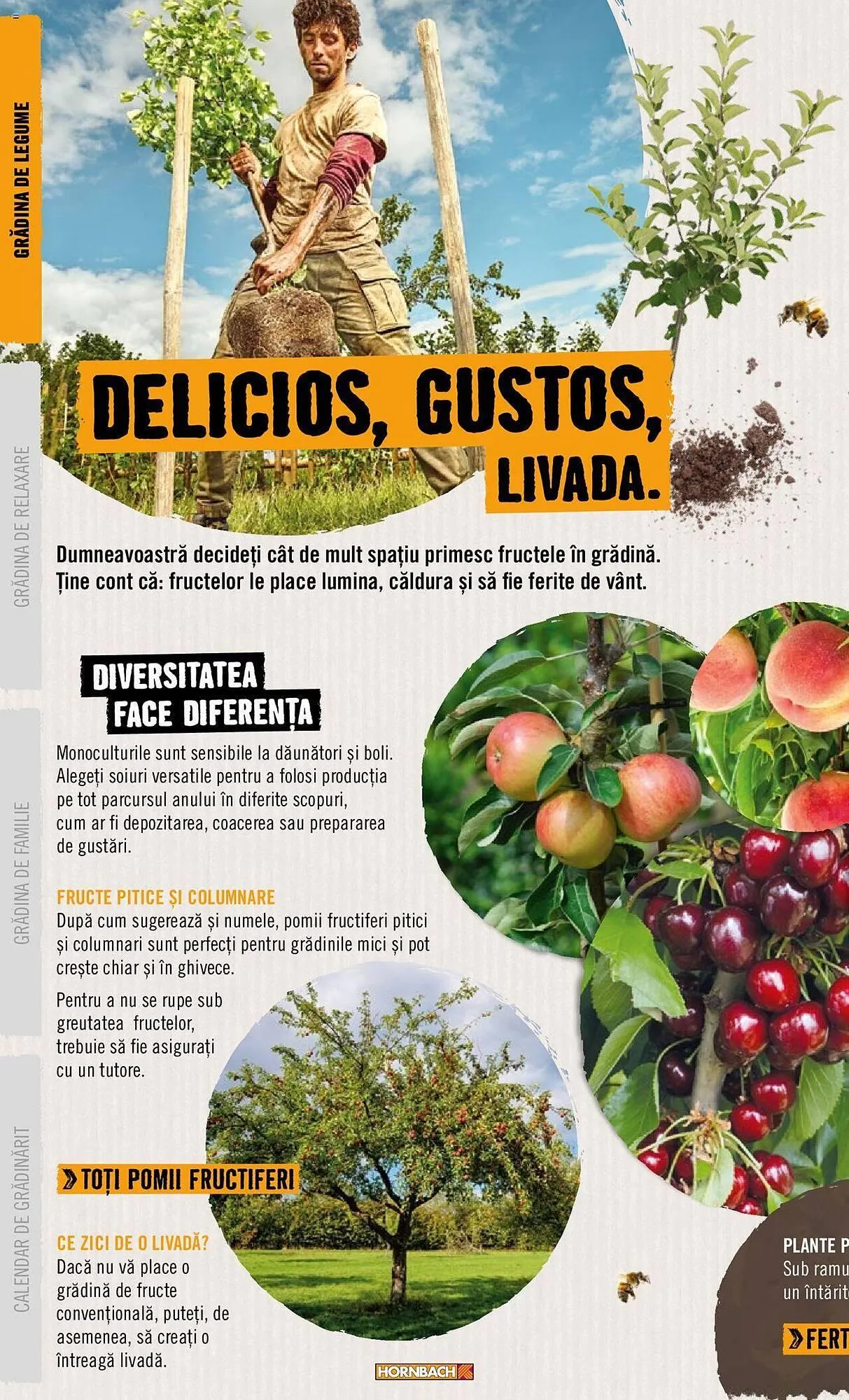 Catalog Сatalog Hornbach de la 22 aprilie până la 31 decembrie 2024 - Revista Pagina 8
