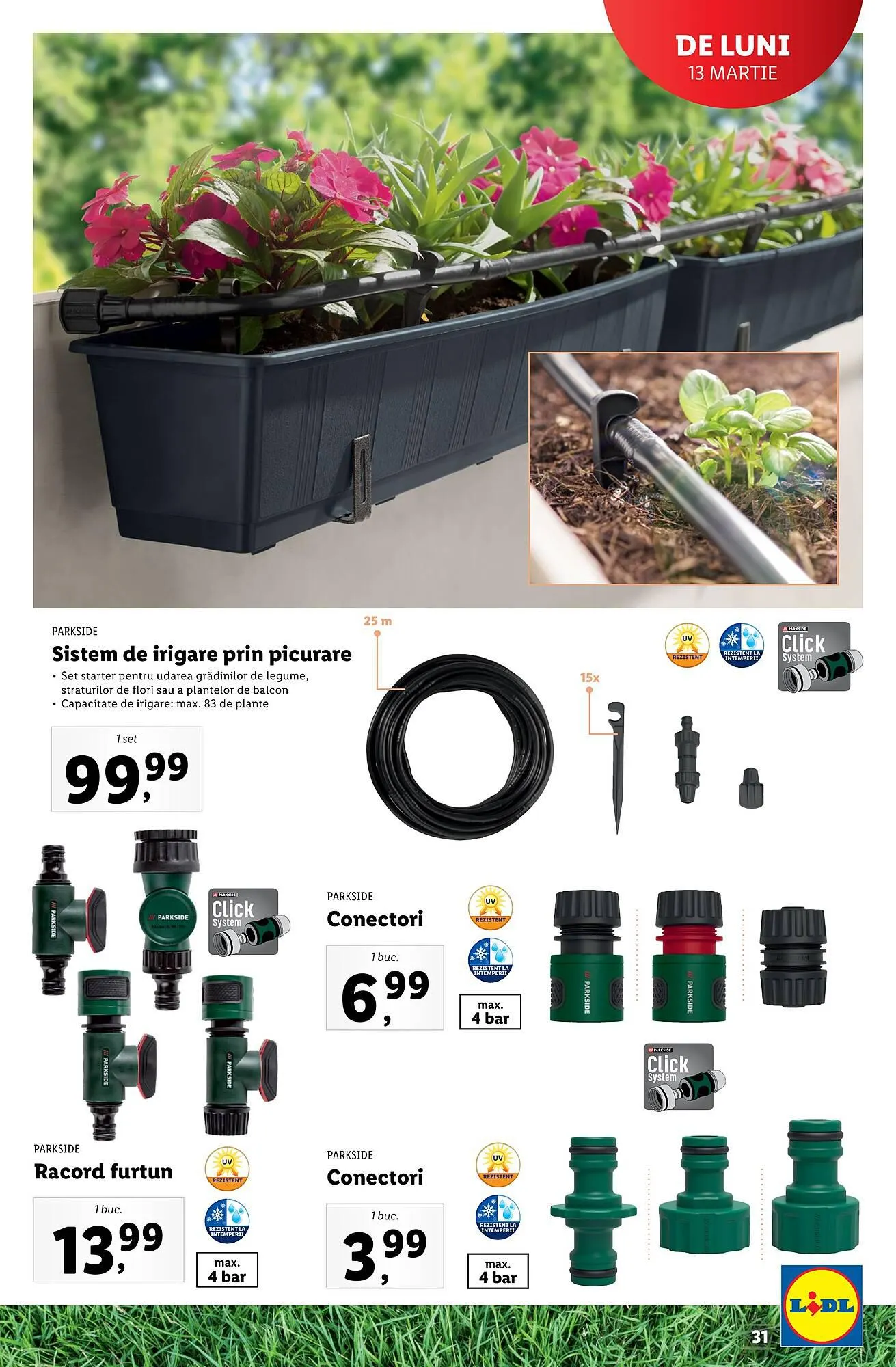 Catalog Lidl catalog de la 13 februarie până la 31 decembrie 2023 - Revista Pagina 31