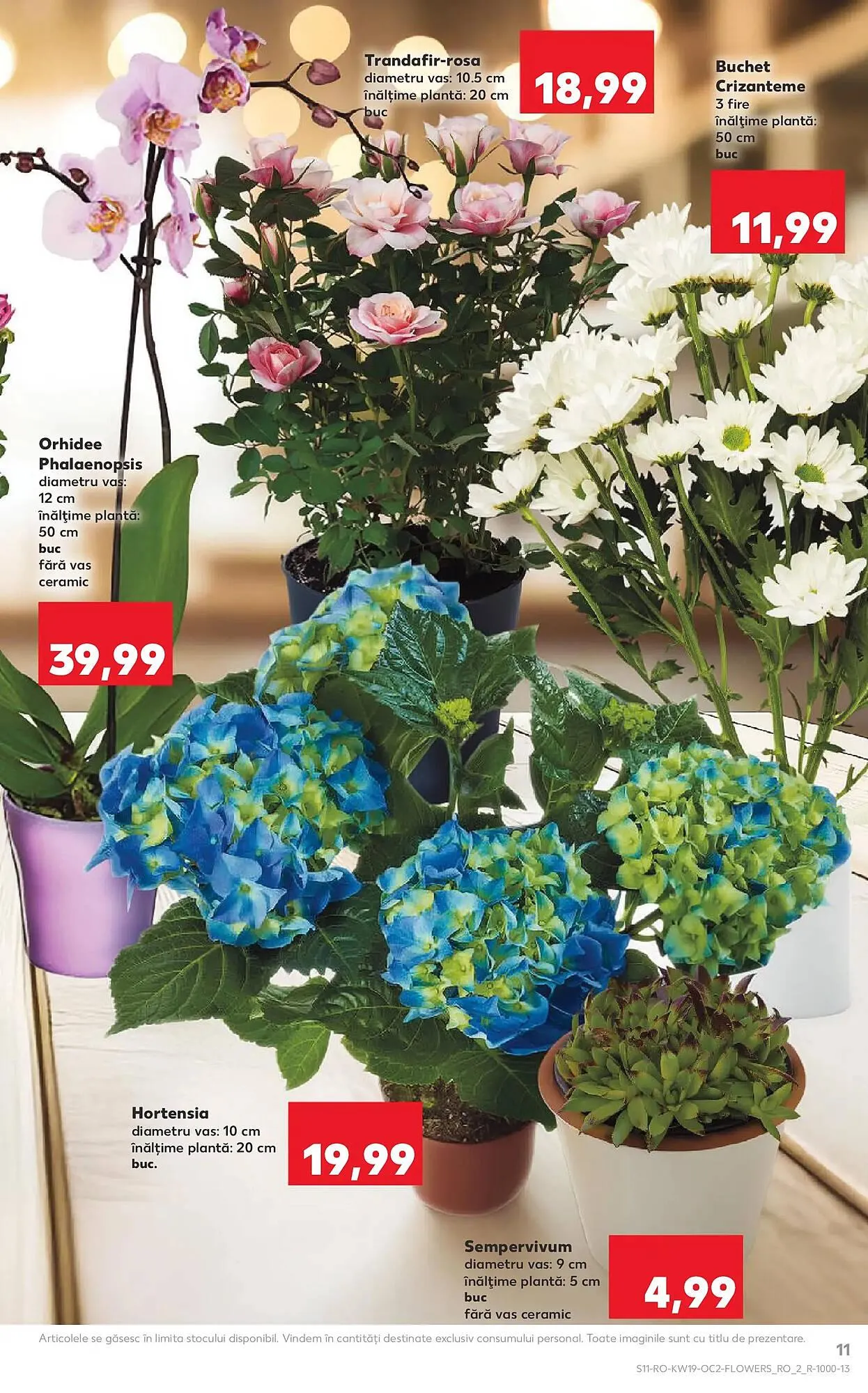 Catalog Catalog Kaufland de la 6 mai până la 12 mai 2026 - Revista Pagina 11