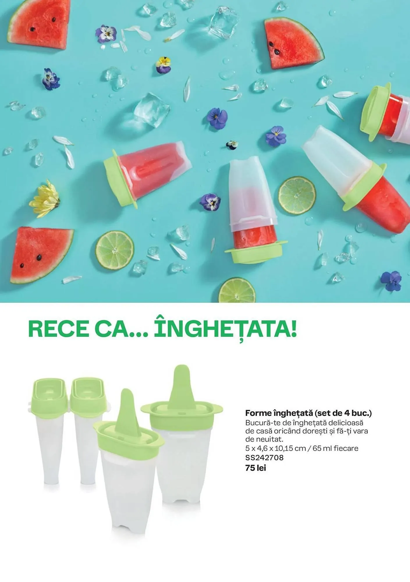 Catalog Tupperware catalog de la 1 iulie până la 4 august 2024 - Revista Pagina 6