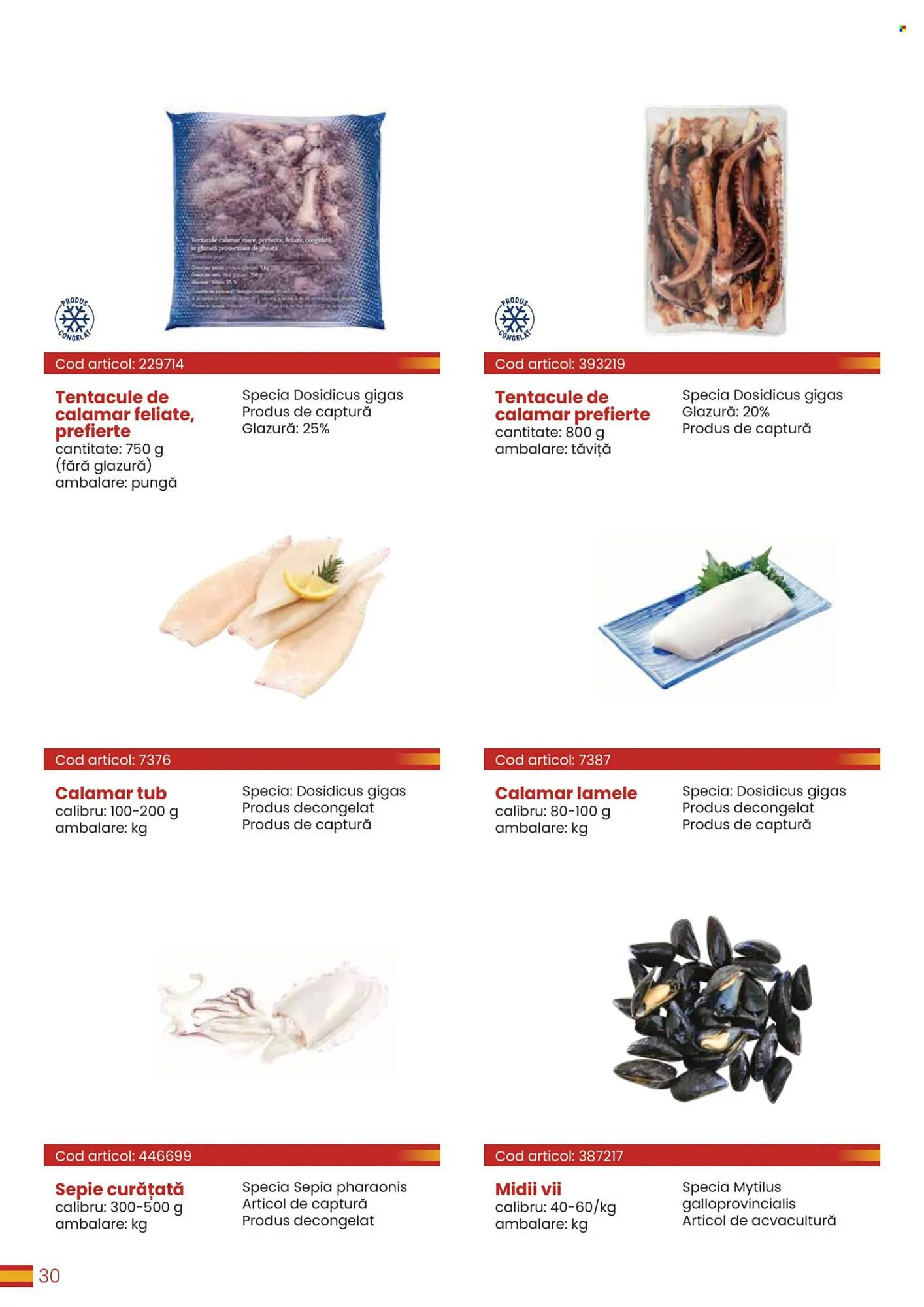 Catalog Catalog Metro de la 30 martie până la 31 decembrie 2026 - Revista Pagina 30