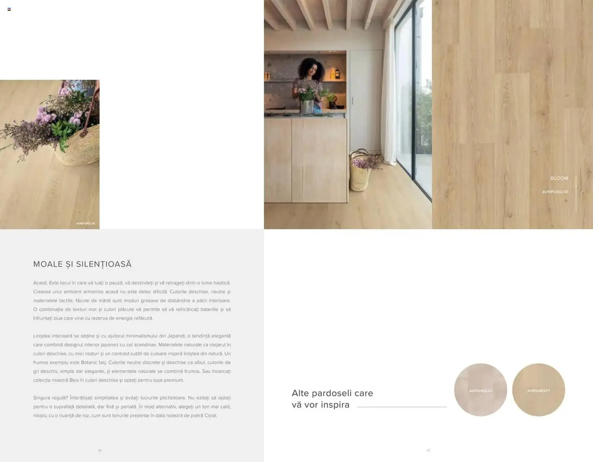 Catalog Catalog Proges de la 19 decembrie până la 30 noiembrie 2026 - Revista Pagina 10