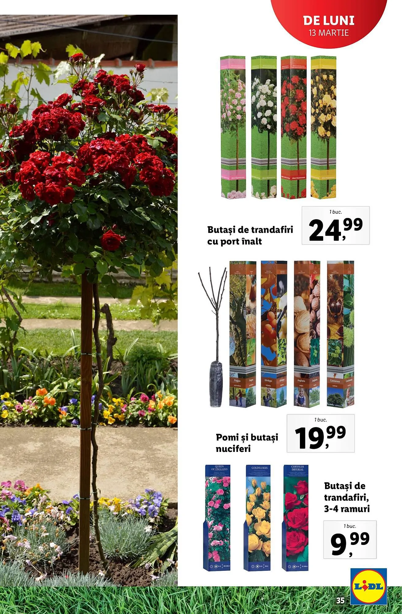 Catalog Lidl catalog de la 13 februarie până la 31 decembrie 2023 - Revista Pagina 35