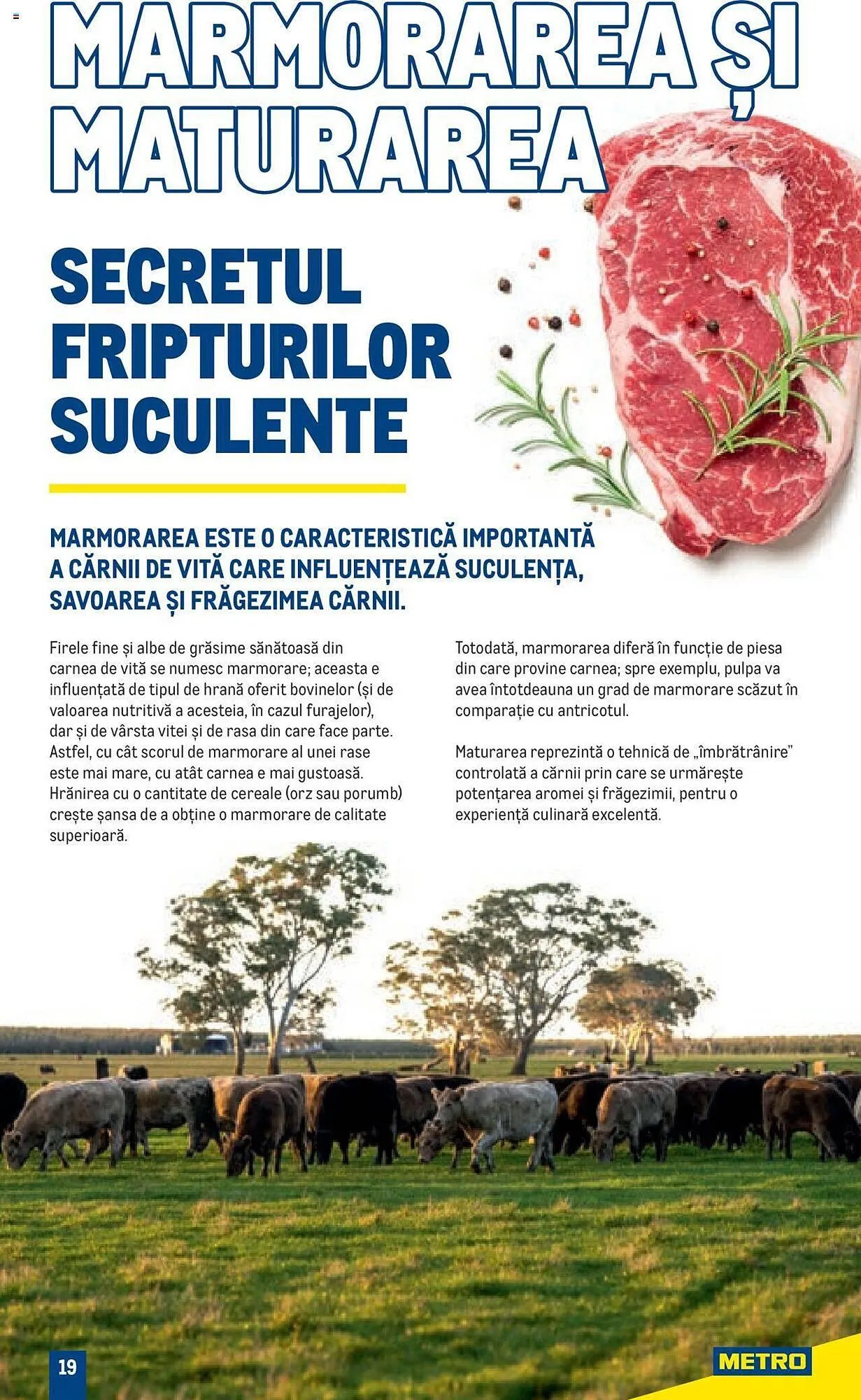 Catalog Metro catalog de la 1 august până la 31 decembrie 2023 - Revista Pagina 19