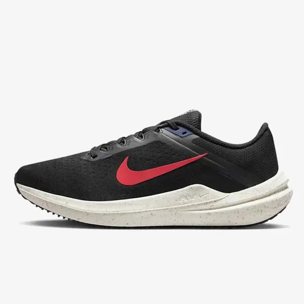 Nike Pantofi Sport Winflo 10