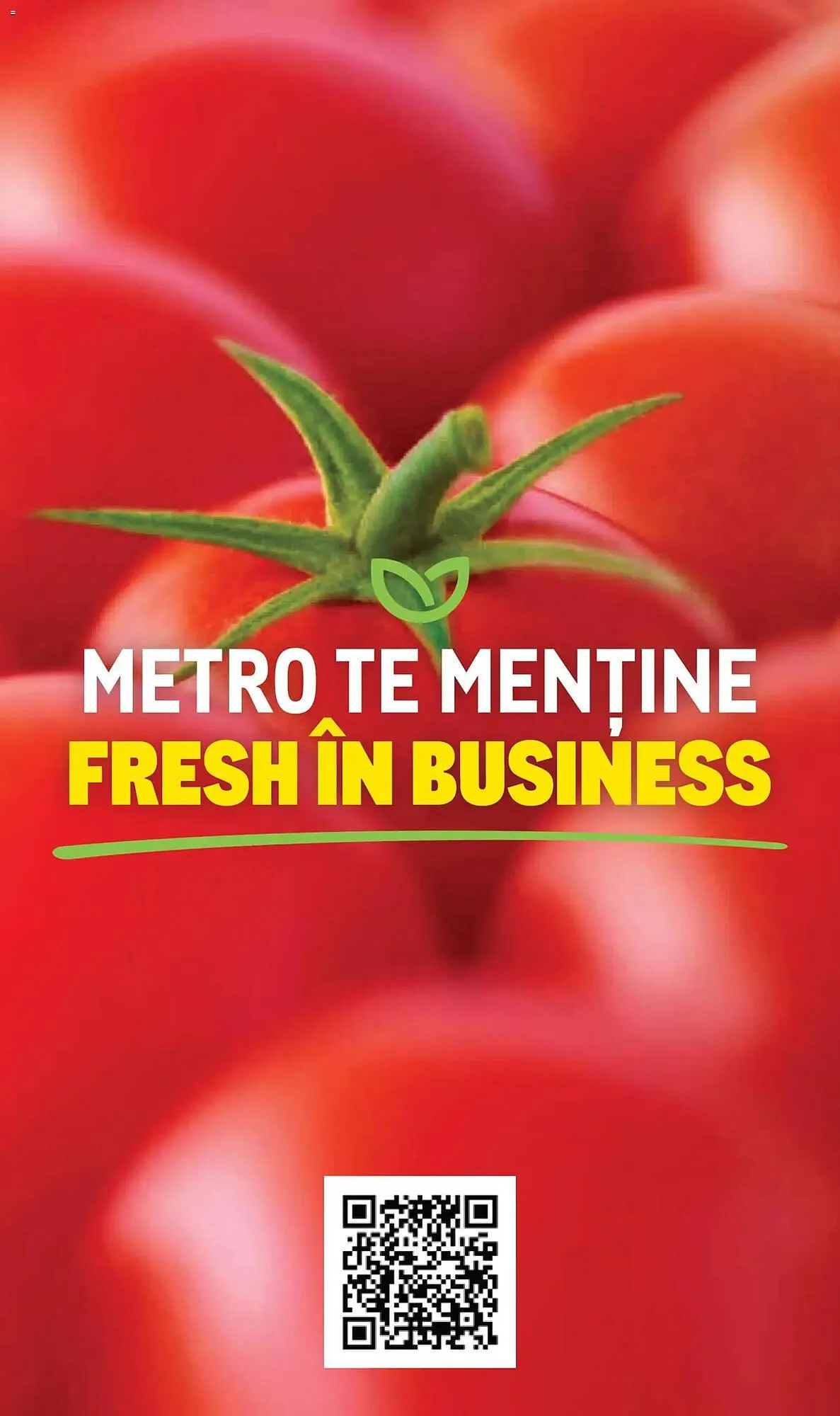 Catalog Catalog Metro de la 9 noiembrie până la 31 decembrie 2026 - Revista Pagina 12