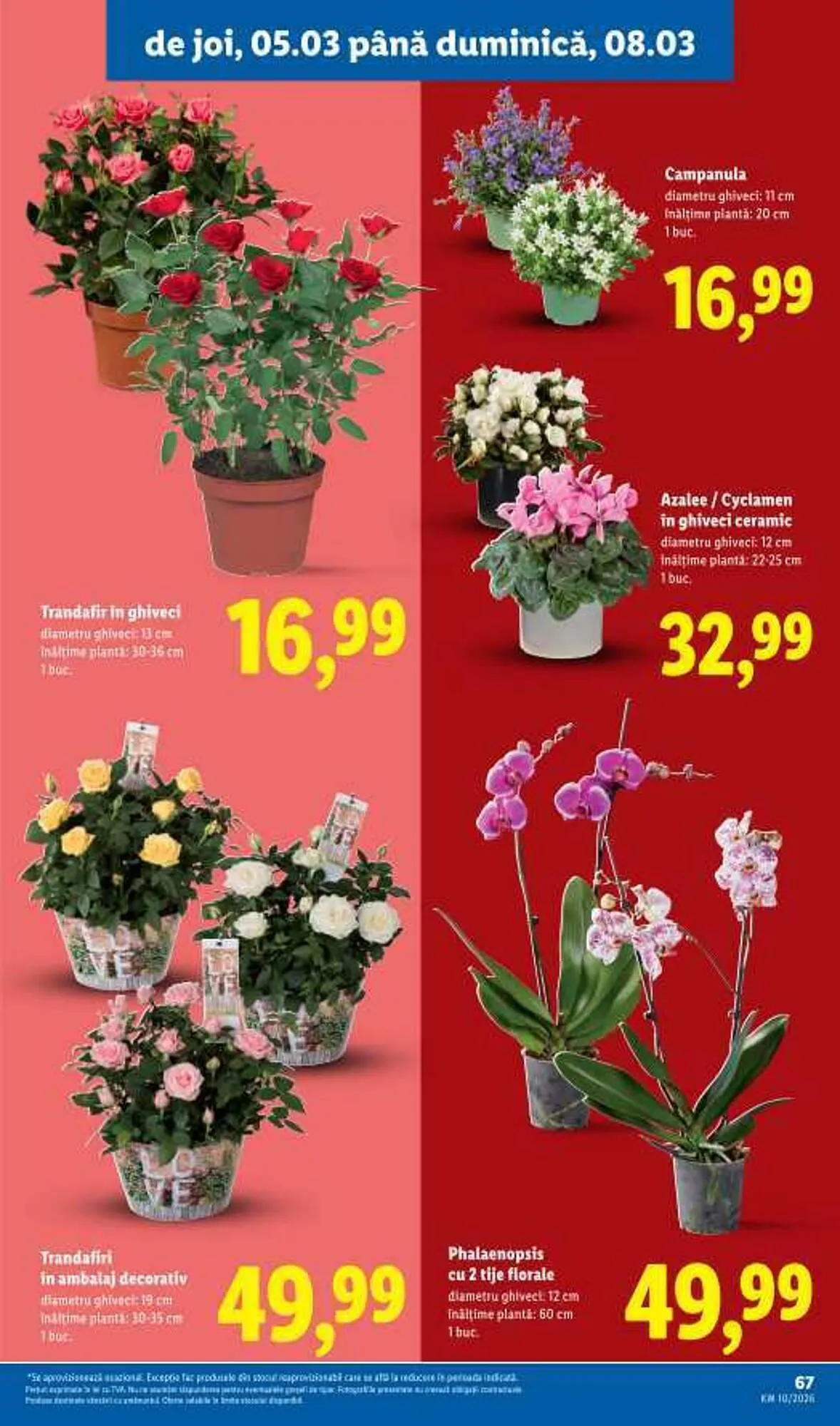 Catalog Catalog Lidl de la 2 martie până la 8 martie 2026 - Revista Pagina 67