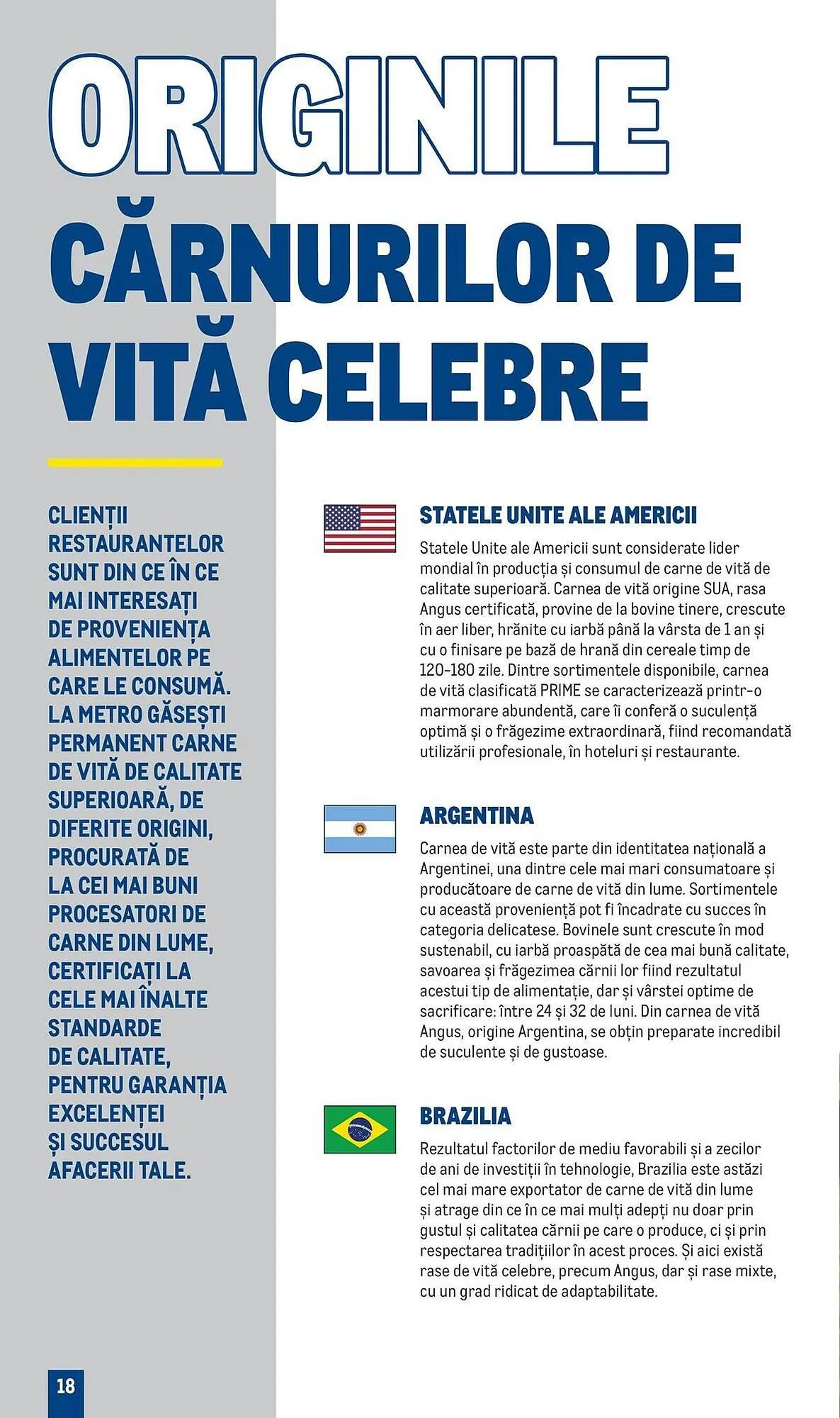 Catalog Catalog Metro de la 9 aprilie până la 31 decembrie 2025 - Revista Pagina 18