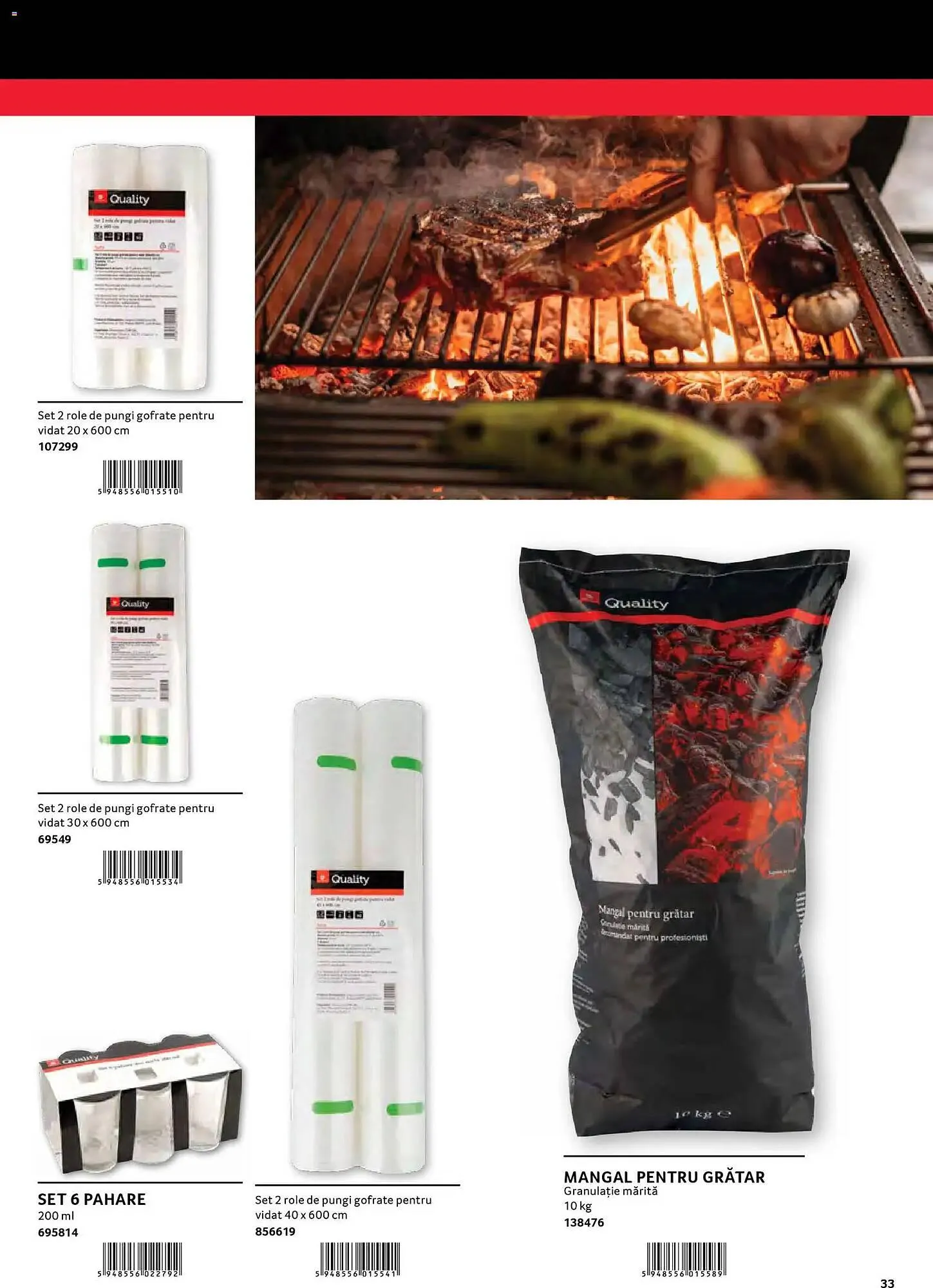 Catalog Catalog Selgros de la 29 ianuarie până la 31 ianuarie 2027 - Revista Pagina 33