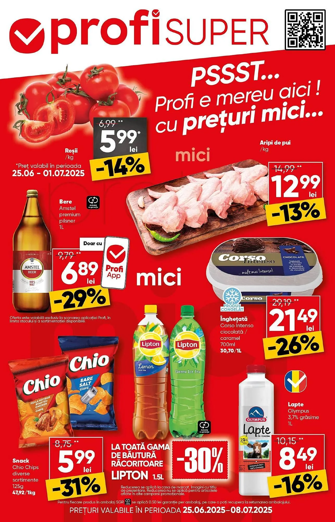Catalog PROFI - 1