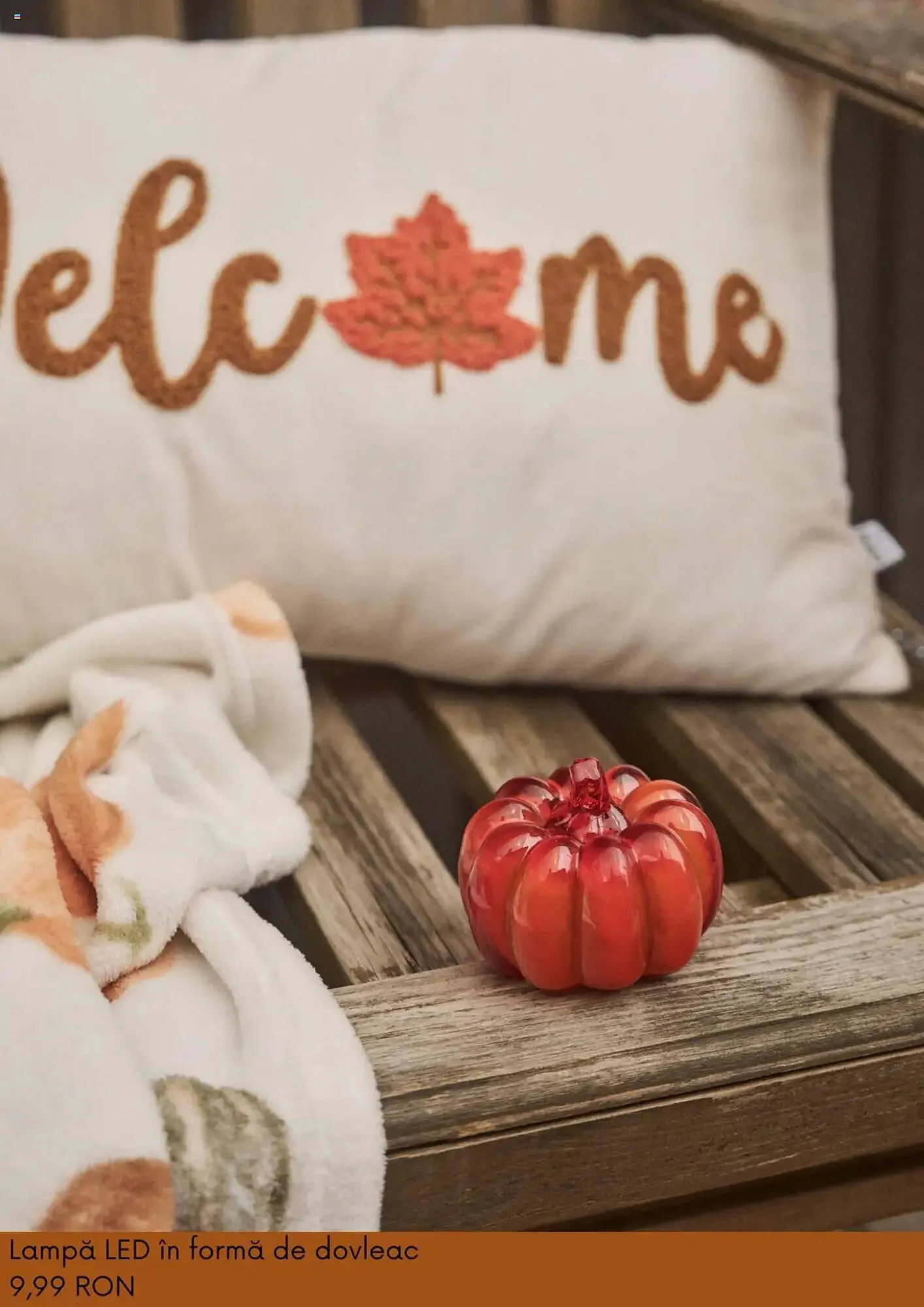 Catalog Catalog Sinsay de la 3 septembrie până la 6 octombrie 2025 - Revista Pagina 11