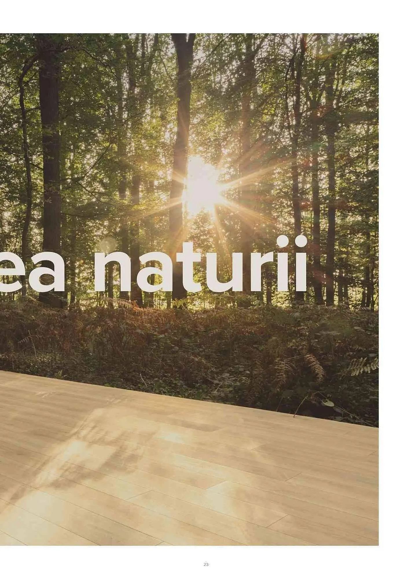 Catalog Proges catalog de la 11 iulie până la 31 decembrie 2023 - Revista Pagina 24