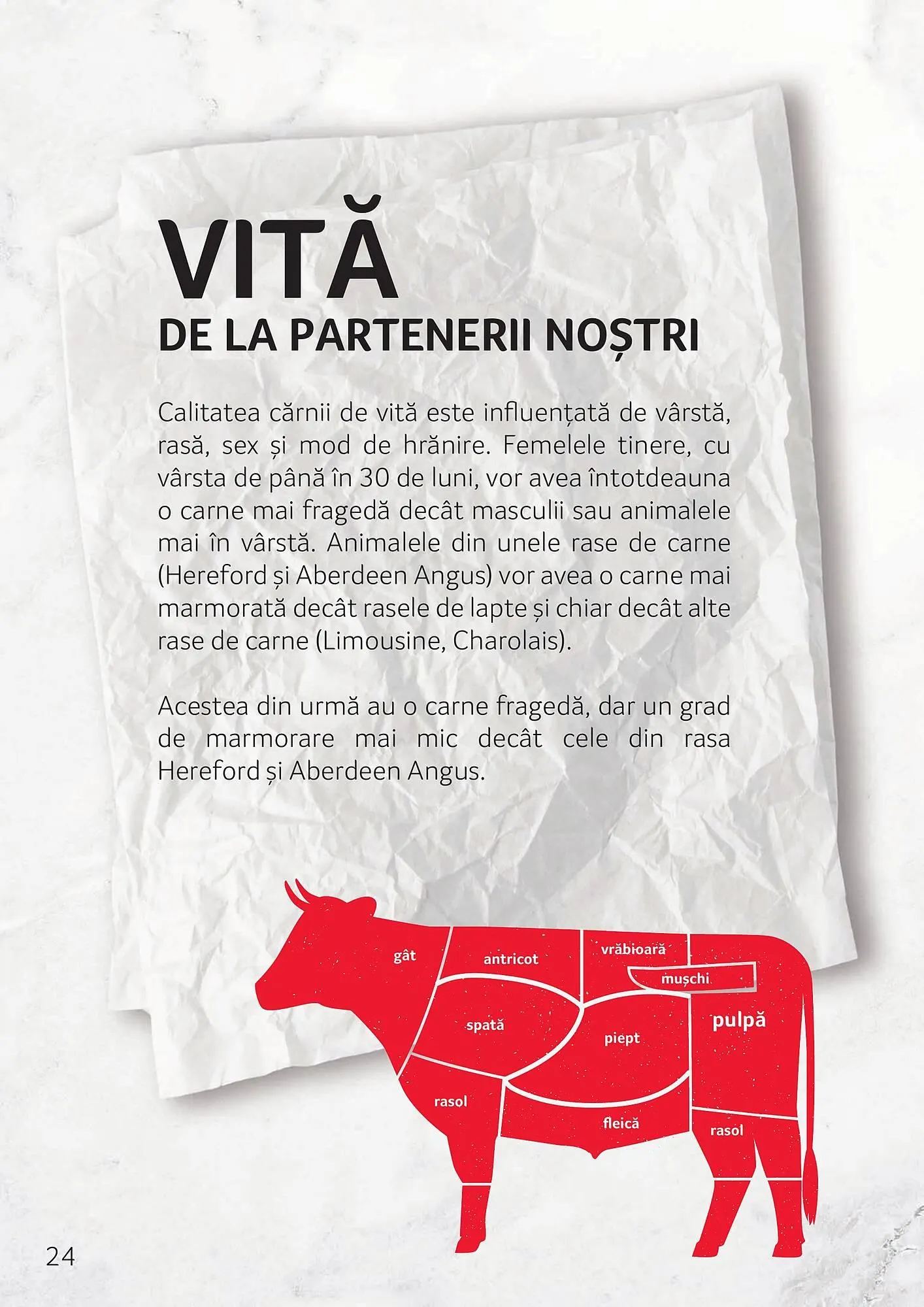 Catalog Catalog Selgros de la 3 octombrie până la 30 noiembrie 2025 - Revista Pagina 24