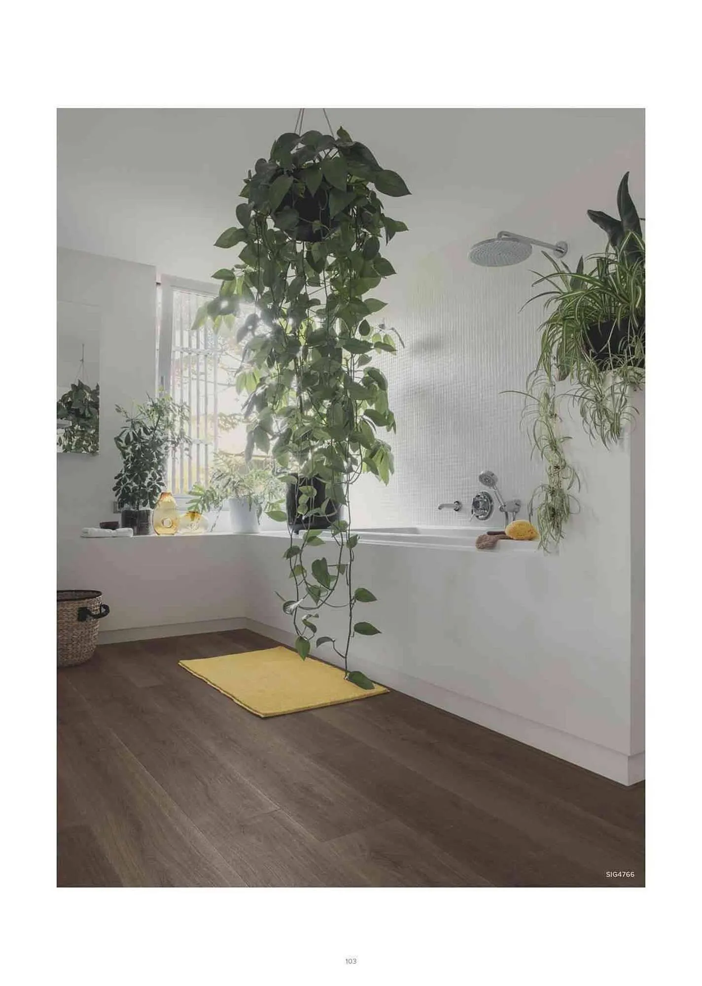 Catalog Proges catalog de la 11 iulie până la 31 decembrie 2023 - Revista Pagina 104