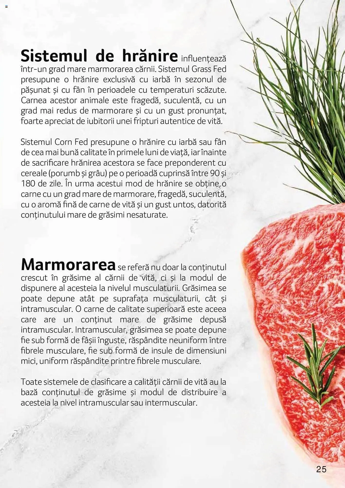 Catalog Selgros catalog de la 27 aprilie până la 31 decembrie 2023 - Revista Pagina 25