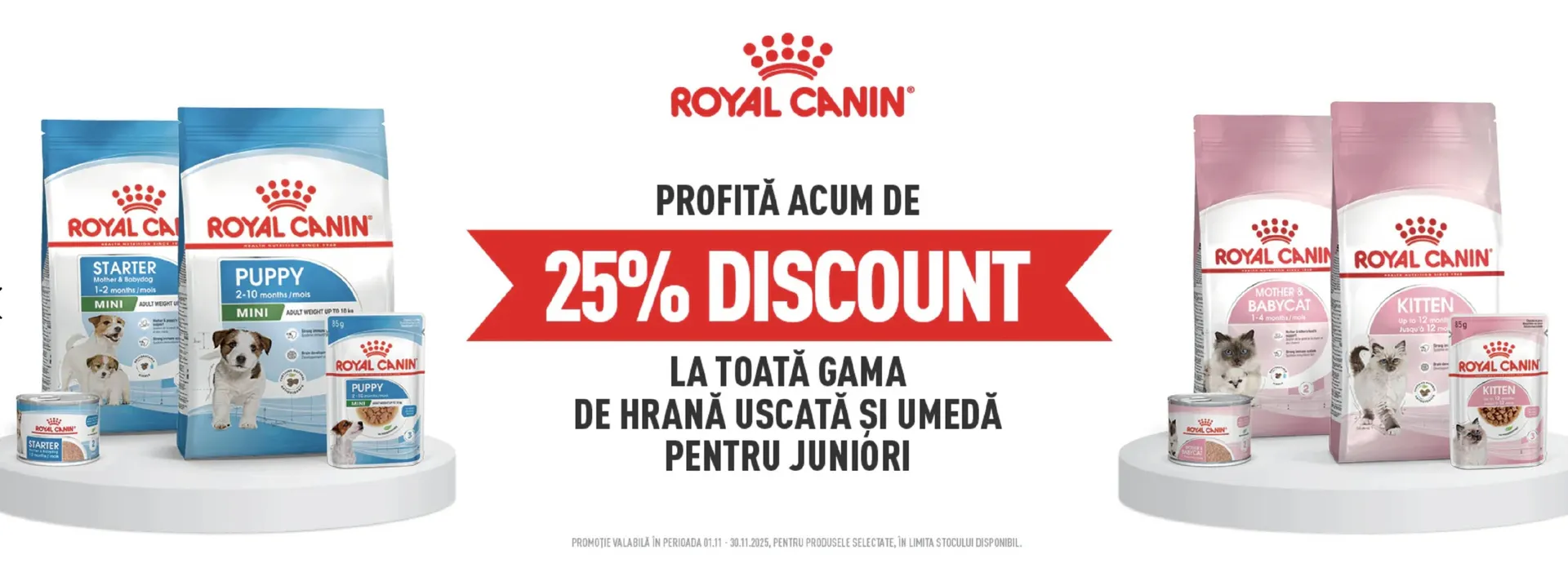 Catalog Magazine Animax de la 13 noiembrie până la 30 noiembrie 2025 - Revista Pagina 3