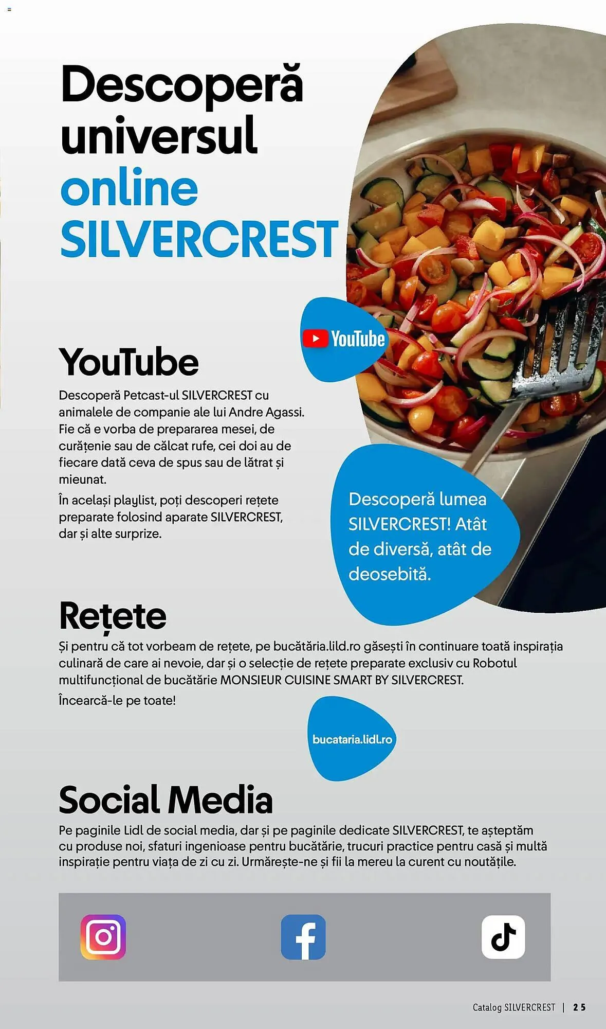 Catalog Catalog Lidl de la 29 martie până la 10 mai 2026 - Revista Pagina 25