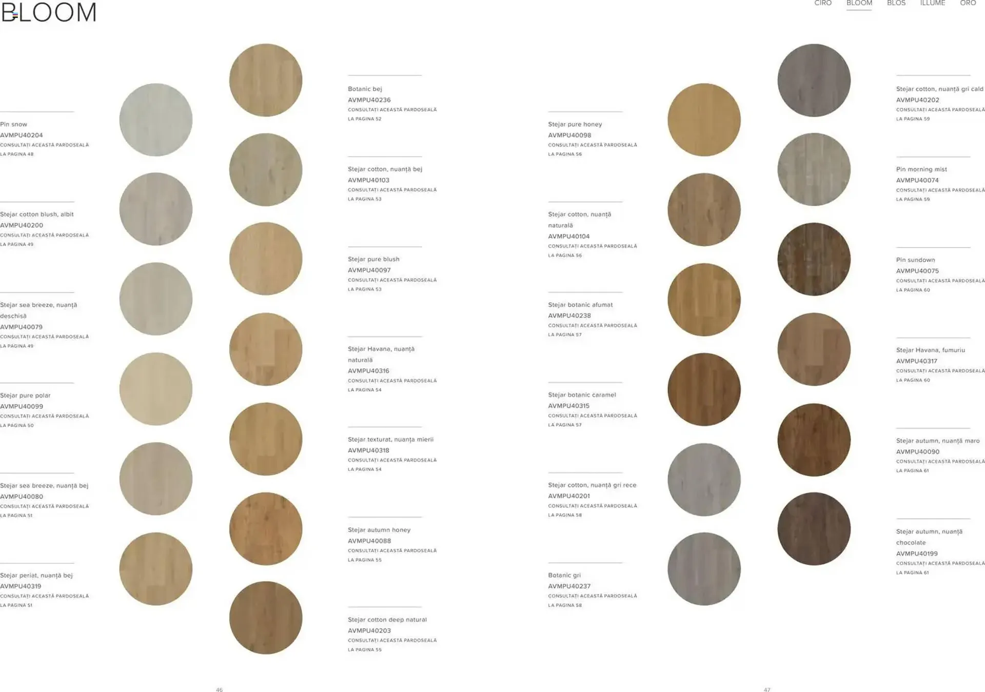 Catalog Catalog Proges de la 19 decembrie până la 30 noiembrie 2026 - Revista Pagina 25