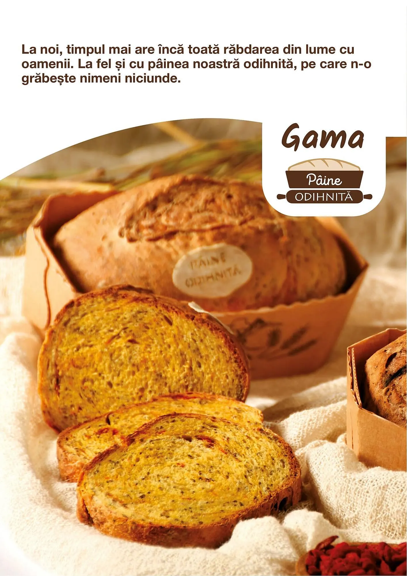 Catalog Cora catalog de la 12 iunie până la 31 decembrie 2023 - Revista Pagina 28