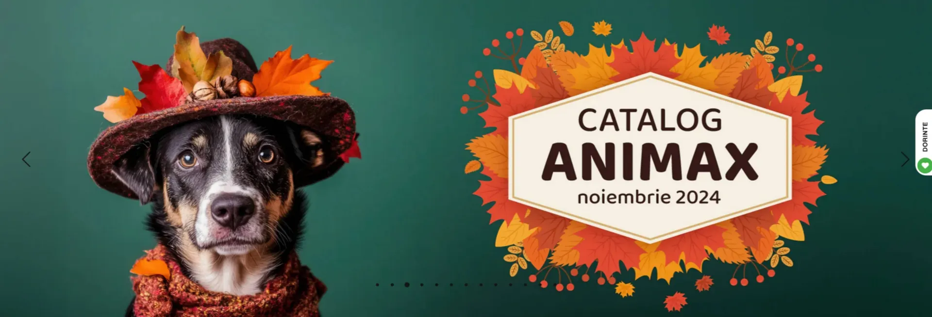 Catalog Catalog Animax de la 22 noiembrie până la 26 noiembrie 2024 - Revista Pagina 3
