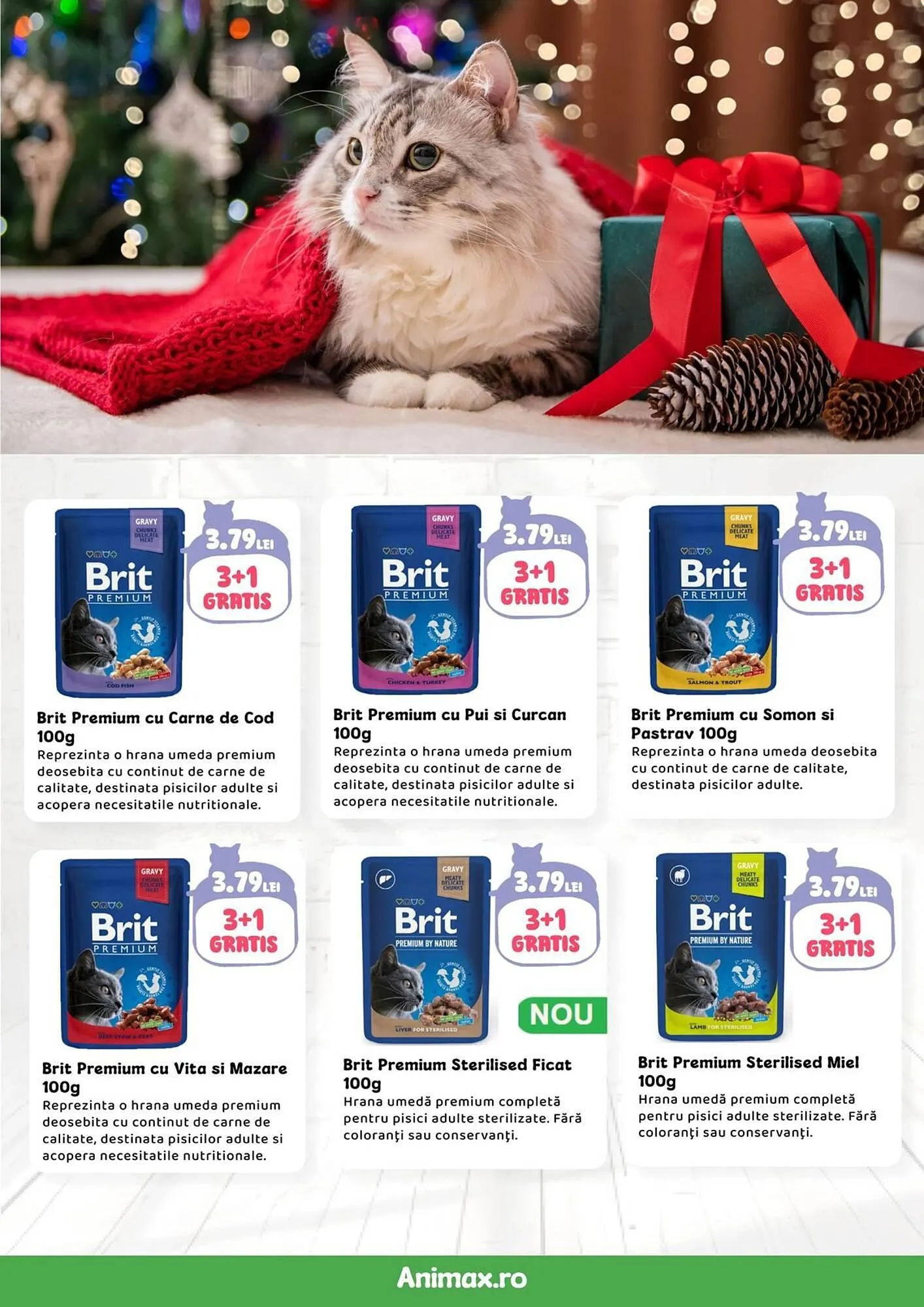 Catalog Magazine Animax de la 4 decembrie până la 4 ianuarie 2026 - Revista Pagina 21