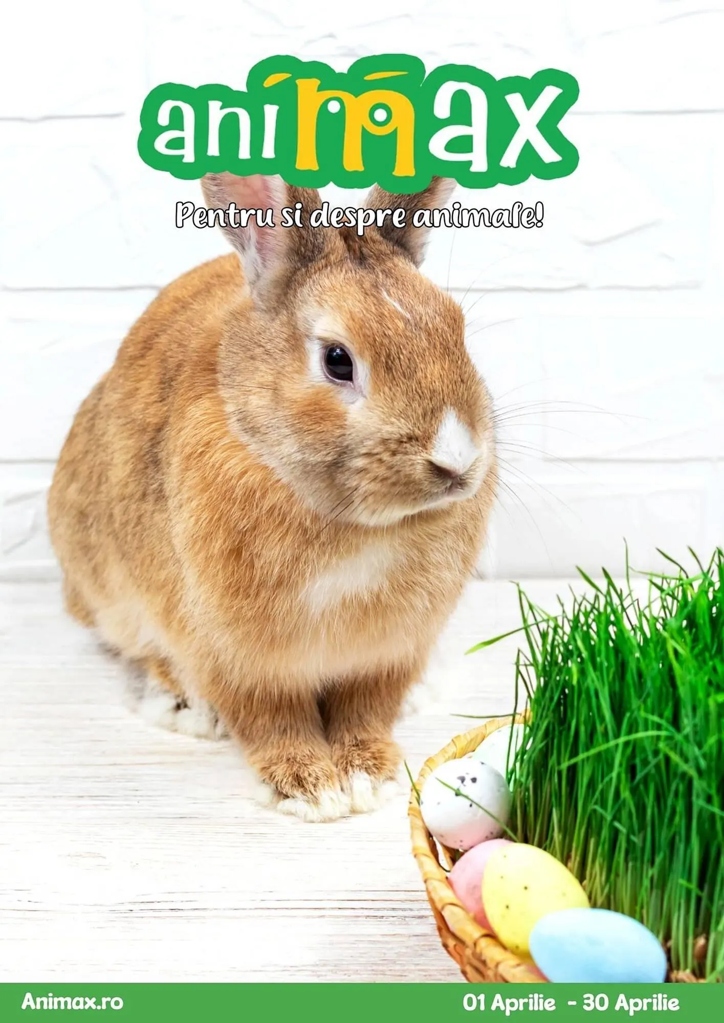 Catalog Catalog Animax de la 1 aprilie până la 30 aprilie 2025 - Revista Pagina 1