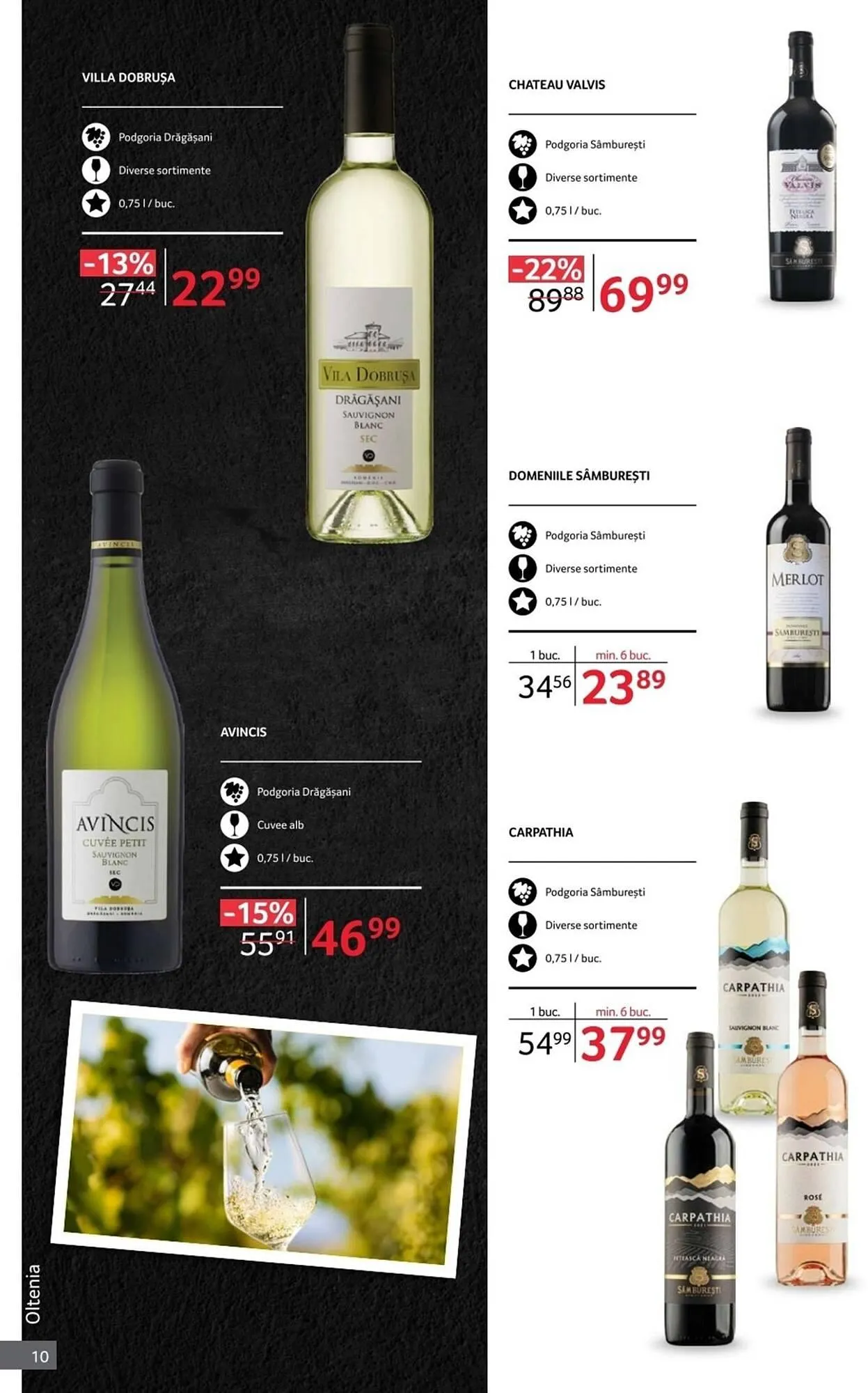 Catalog Catalog Selgros de la 1 octombrie până la 31 octombrie 2025 - Revista Pagina 10