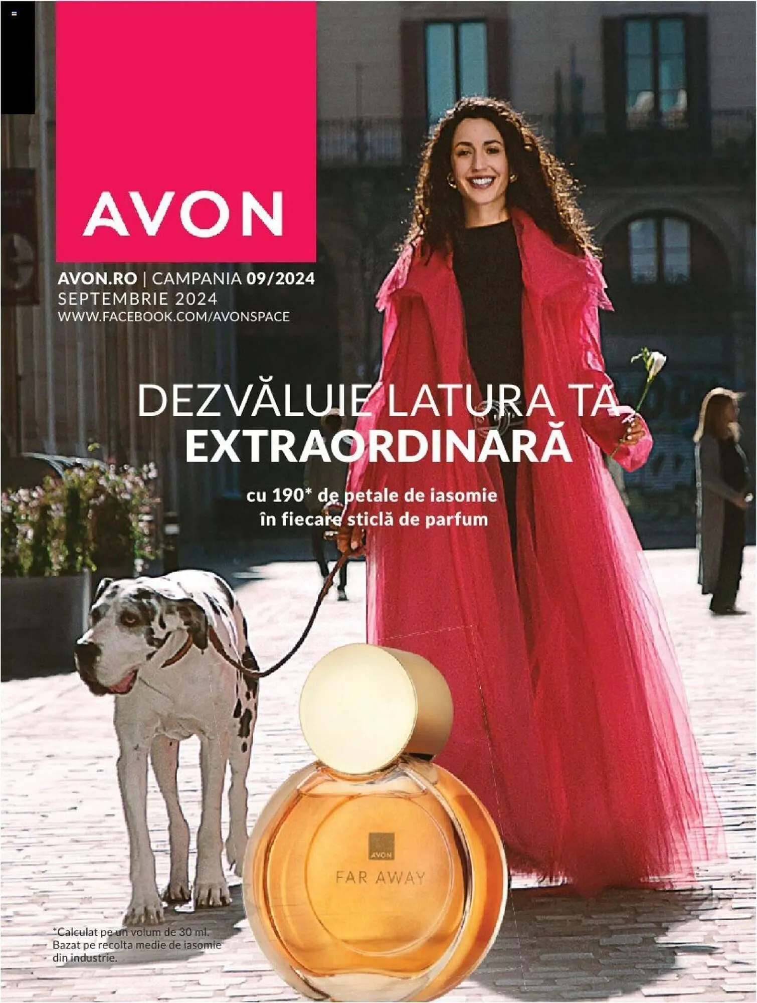 Catalog Avon - 1
