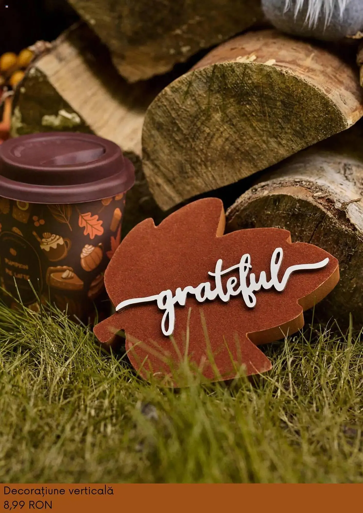 Catalog Catalog Sinsay de la 3 septembrie până la 6 octombrie 2025 - Revista Pagina 10