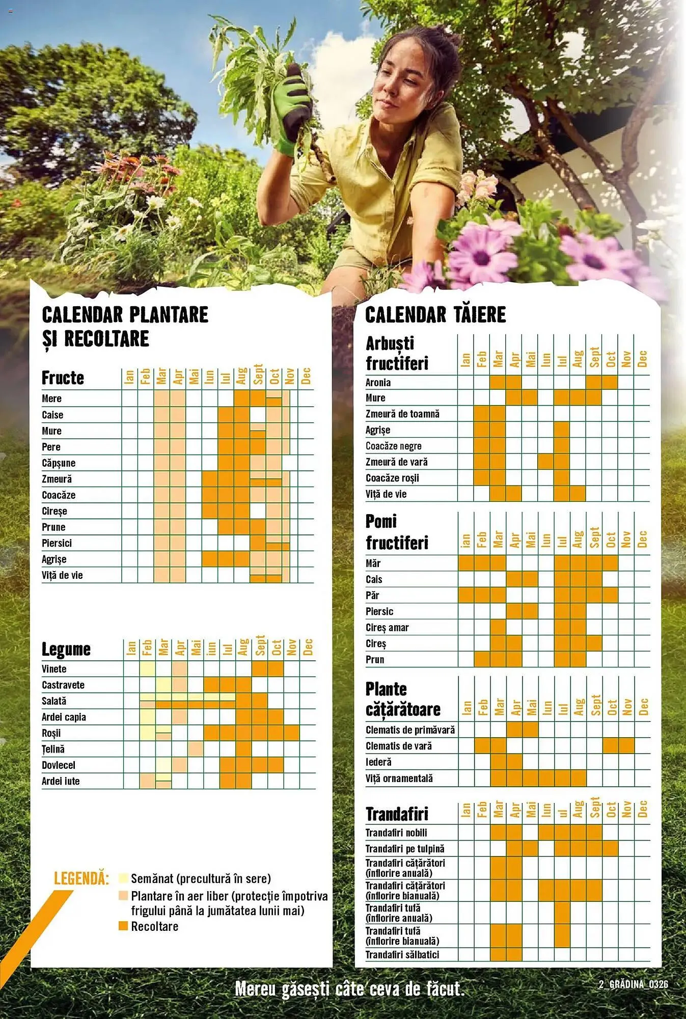 Catalog Magazine Hornbach de la 22 martie până la 22 aprilie 2026 - Revista Pagina 2