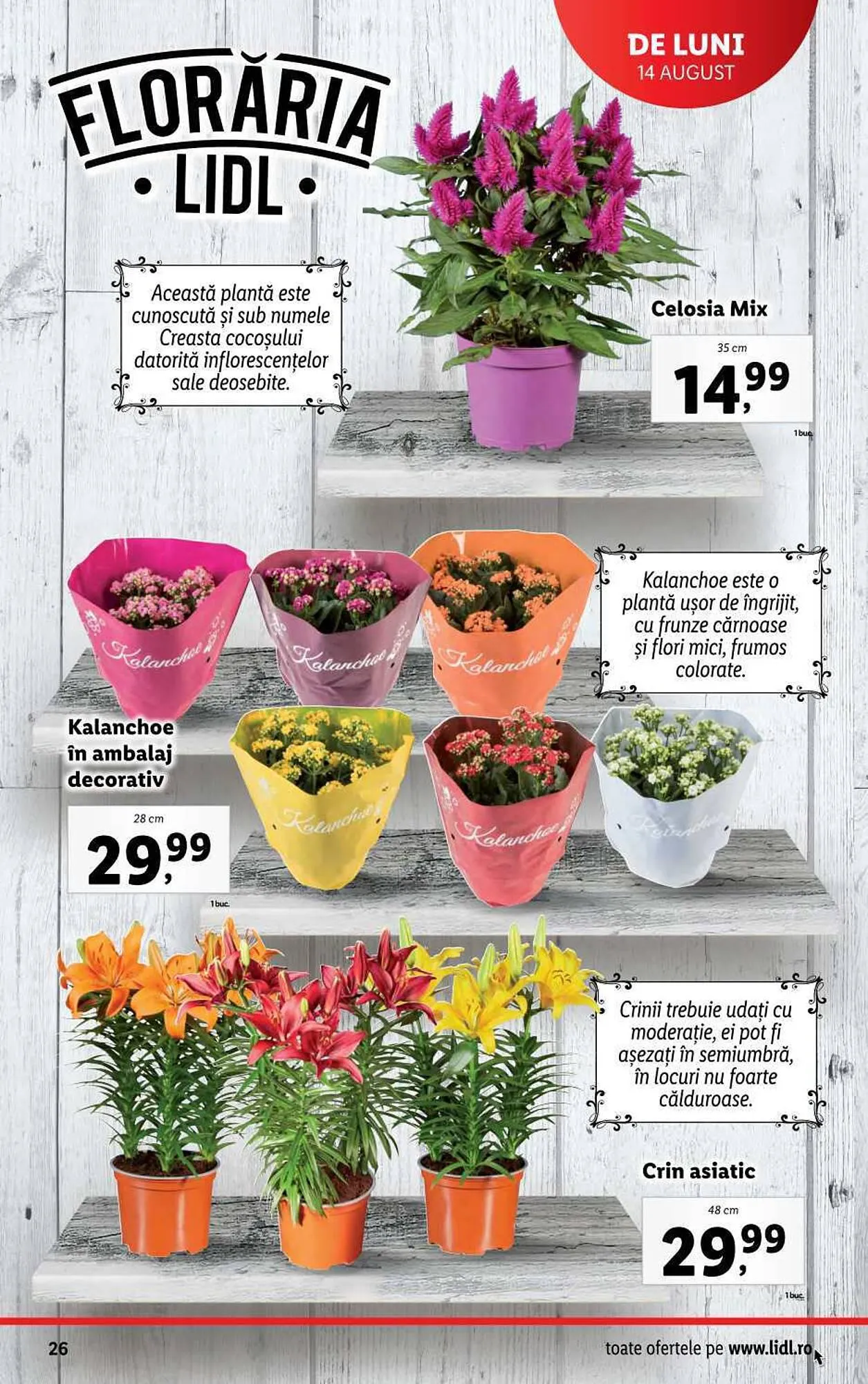 Catalog Lidl catalog de la 14 august până la 20 august 2023 - Revista Pagina 26