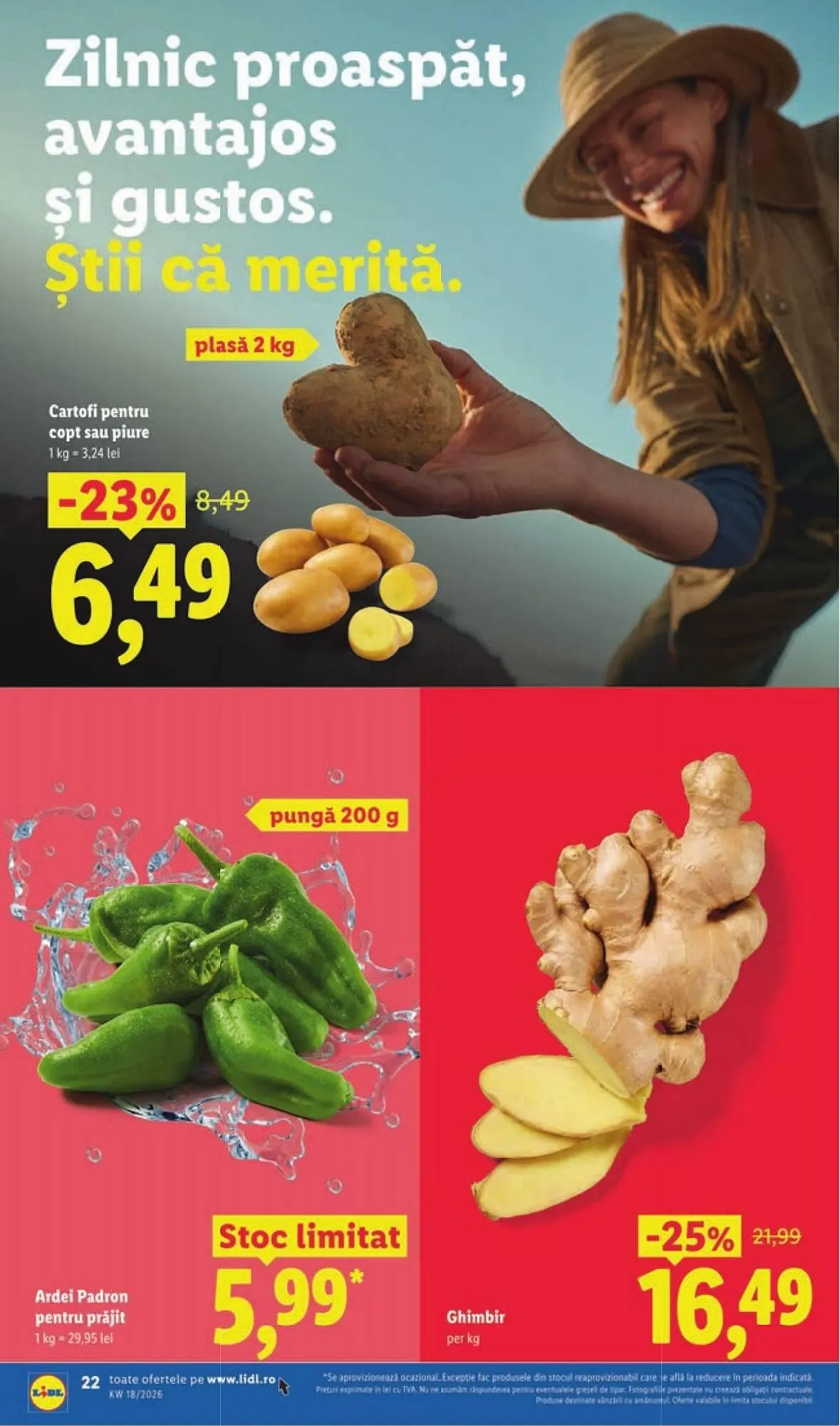 Catalog Catalog Lidl de la 27 aprilie până la 3 mai 2026 - Revista Pagina 22